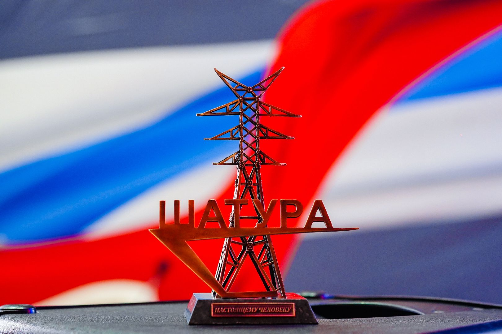 Большая Шатура, пульс регионов, ежегодная встреча, награды,