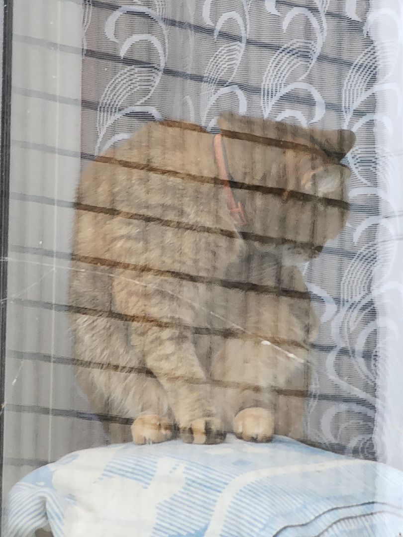 волоколамск, ярополец, Администрация, выездная администрация,