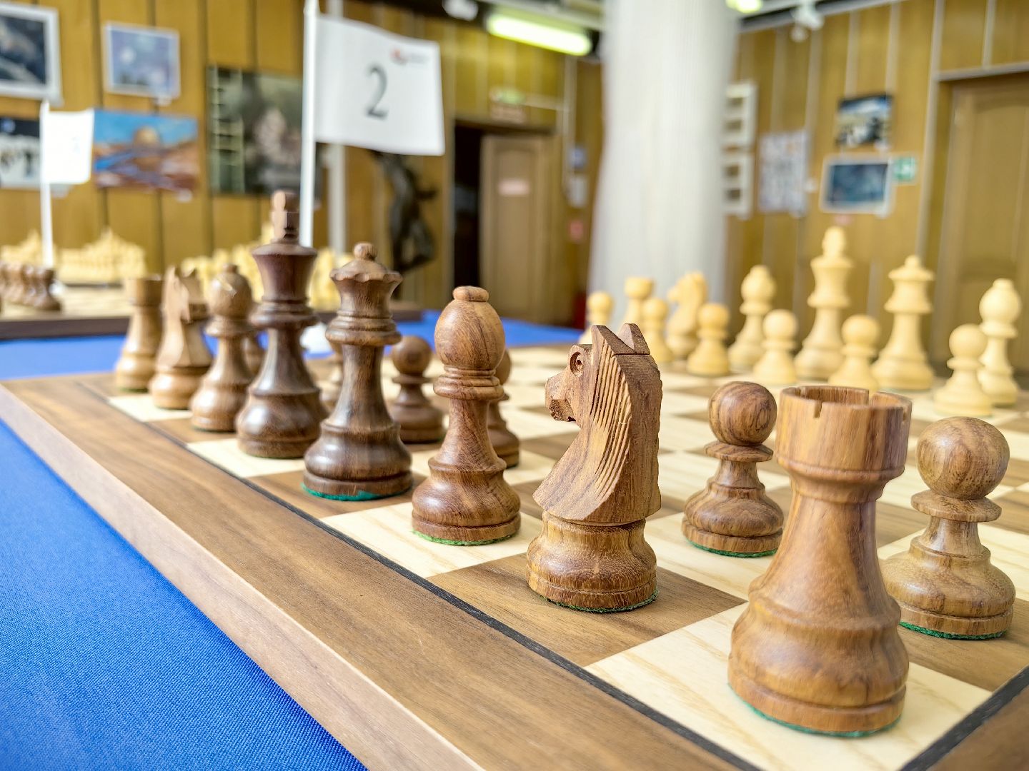 шахматы, шахматный класс, звездный городок, образование, дети,