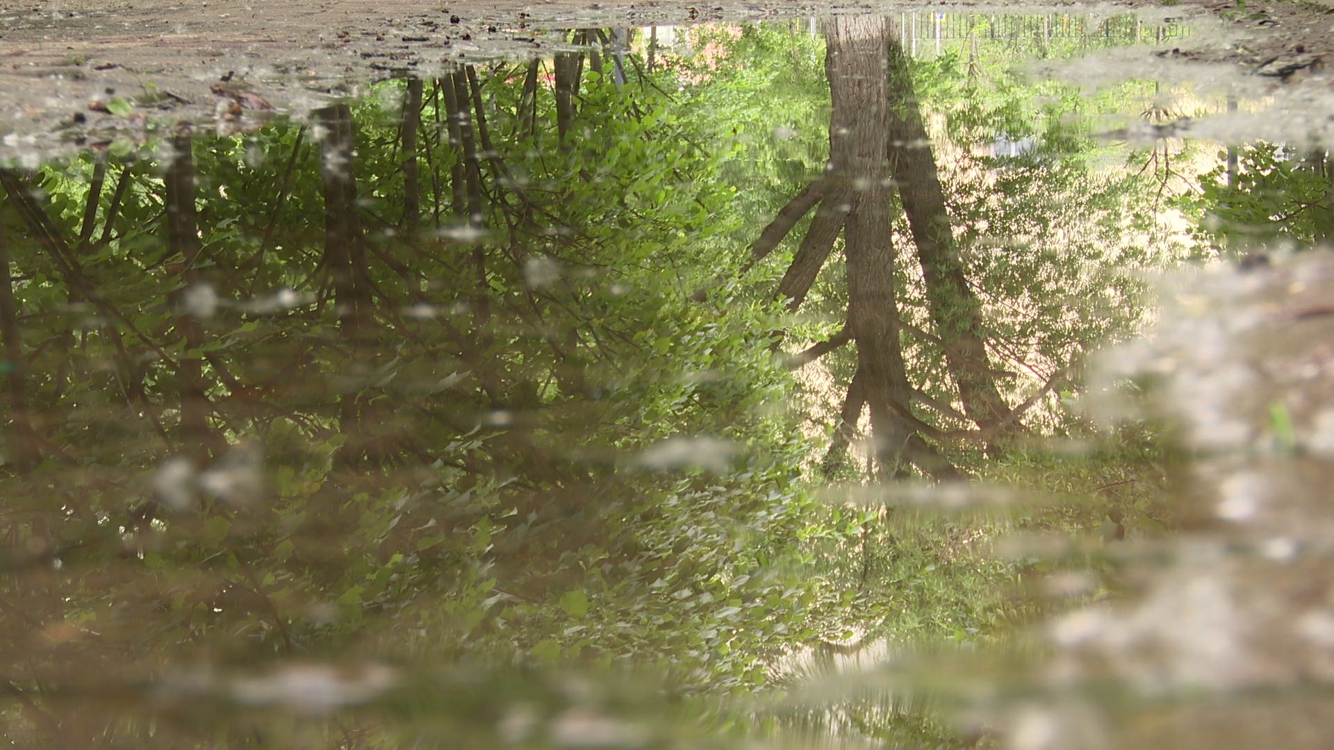 Реутов, парк, фонтан, реконструкция,вода,