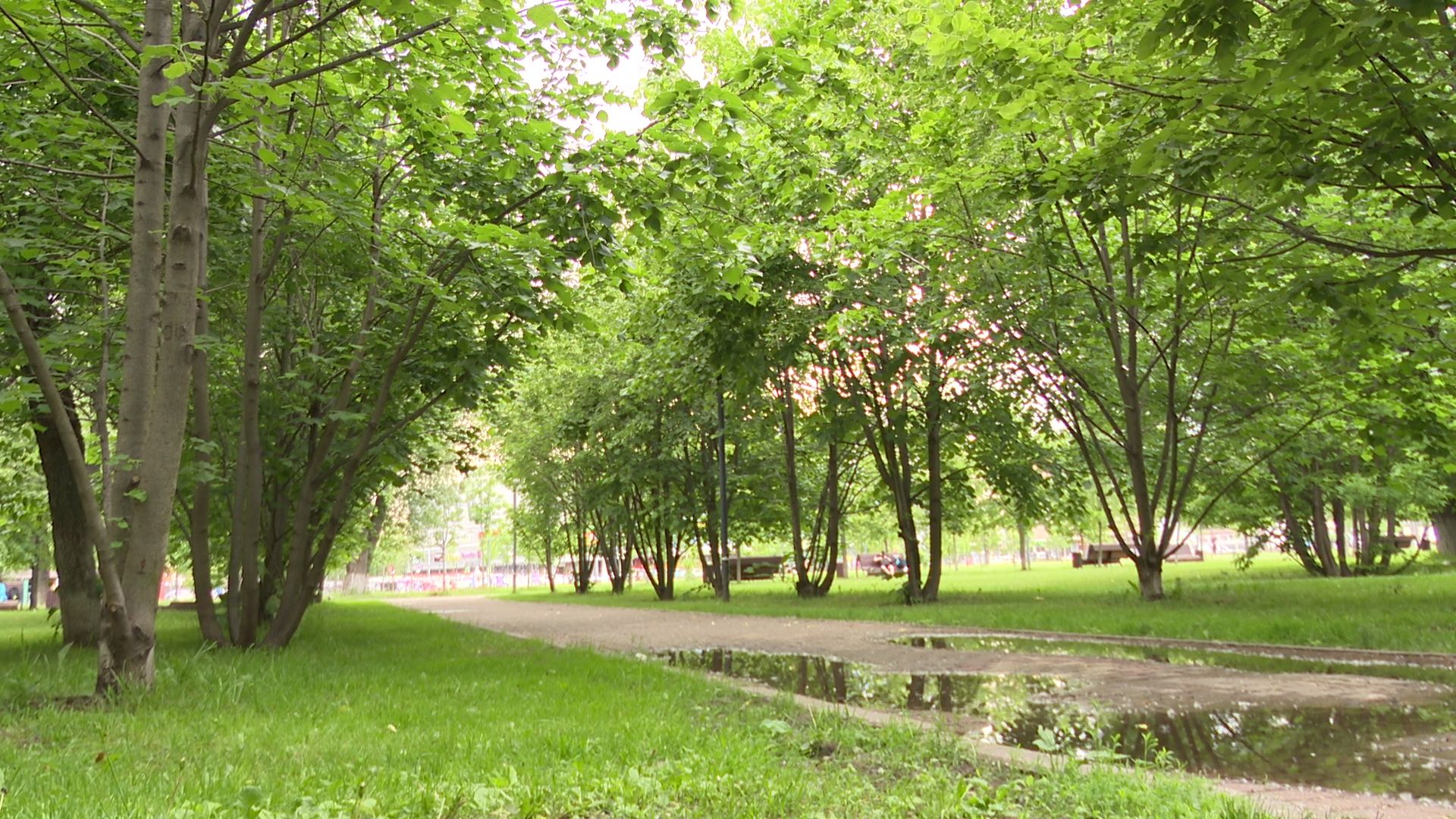 Реутов, парк, фонтан, реконструкция,вода,