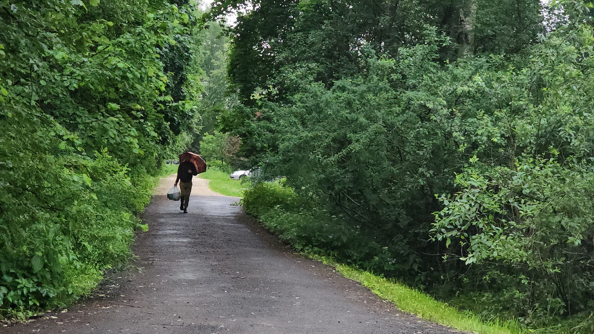 Ремонт дороги, выездная администрация, Лобня, дороги,