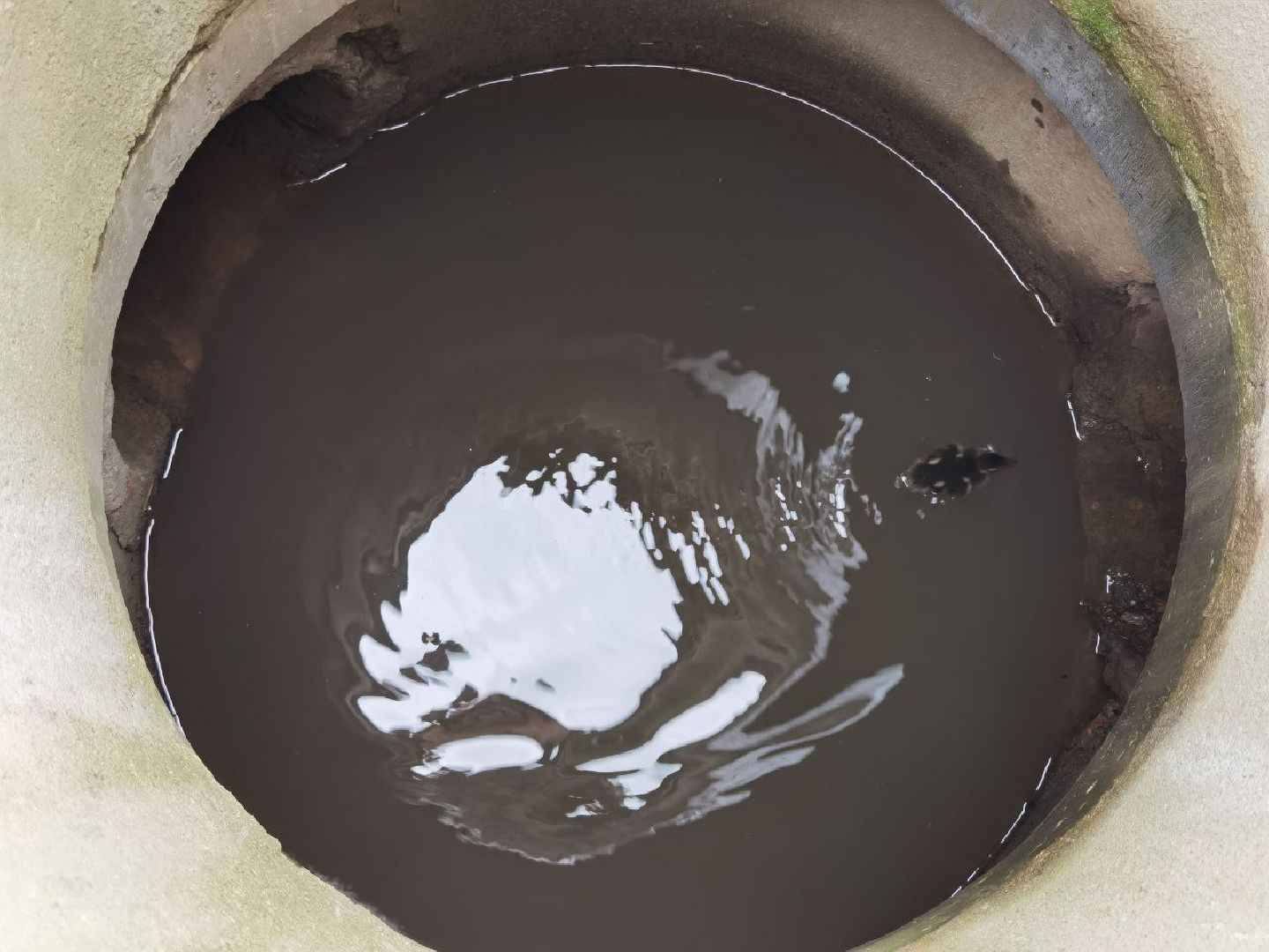 Сергиев Посад, Мособлпожспас, Спасатели, Утята, Природа,