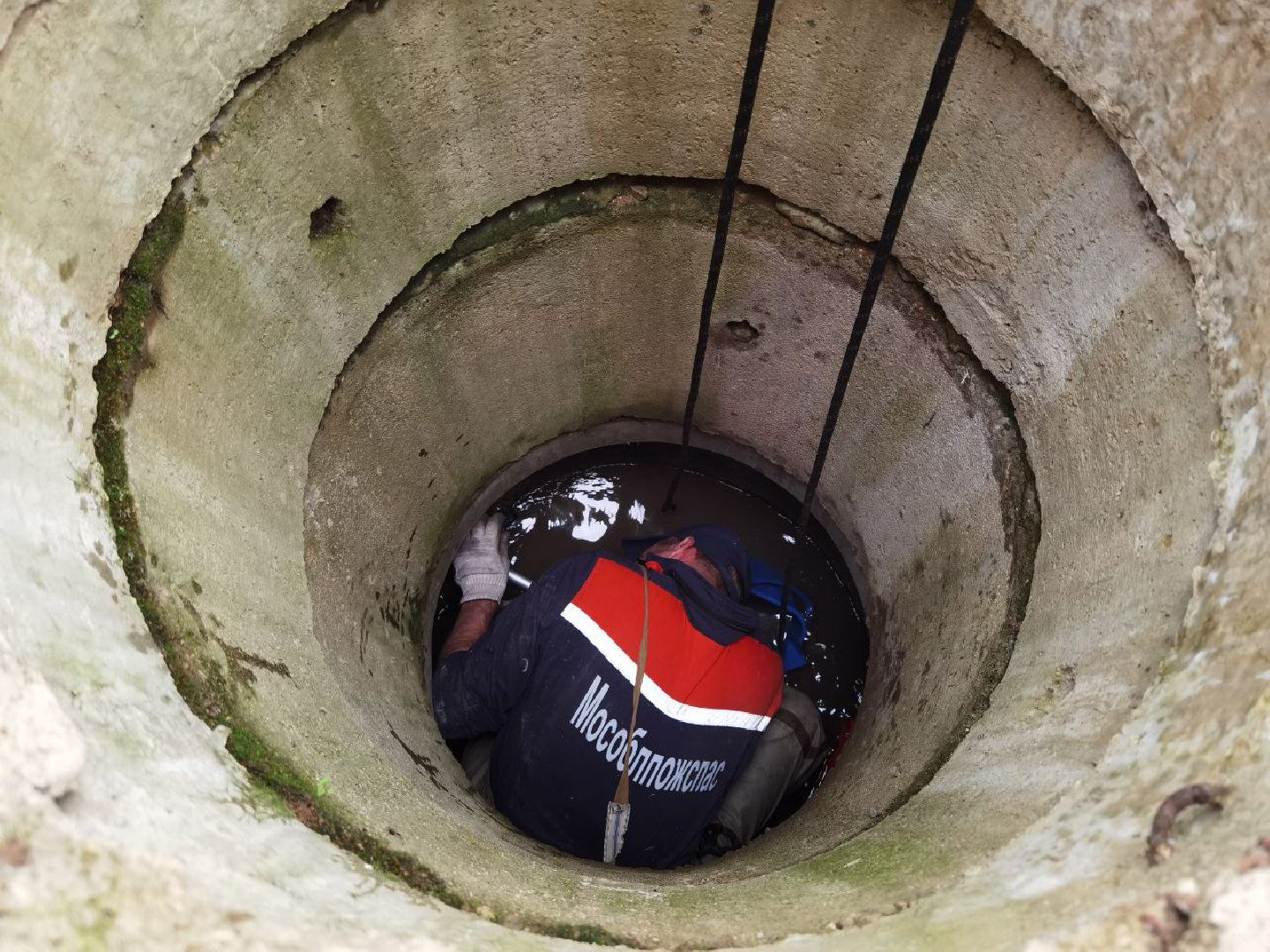 Сергиев Посад, Мособлпожспас, Спасатели, Утята, Природа,