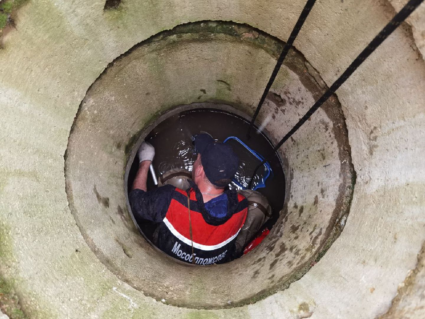 Сергиев Посад, Мособлпожспас, Спасатели, Утята, Природа,