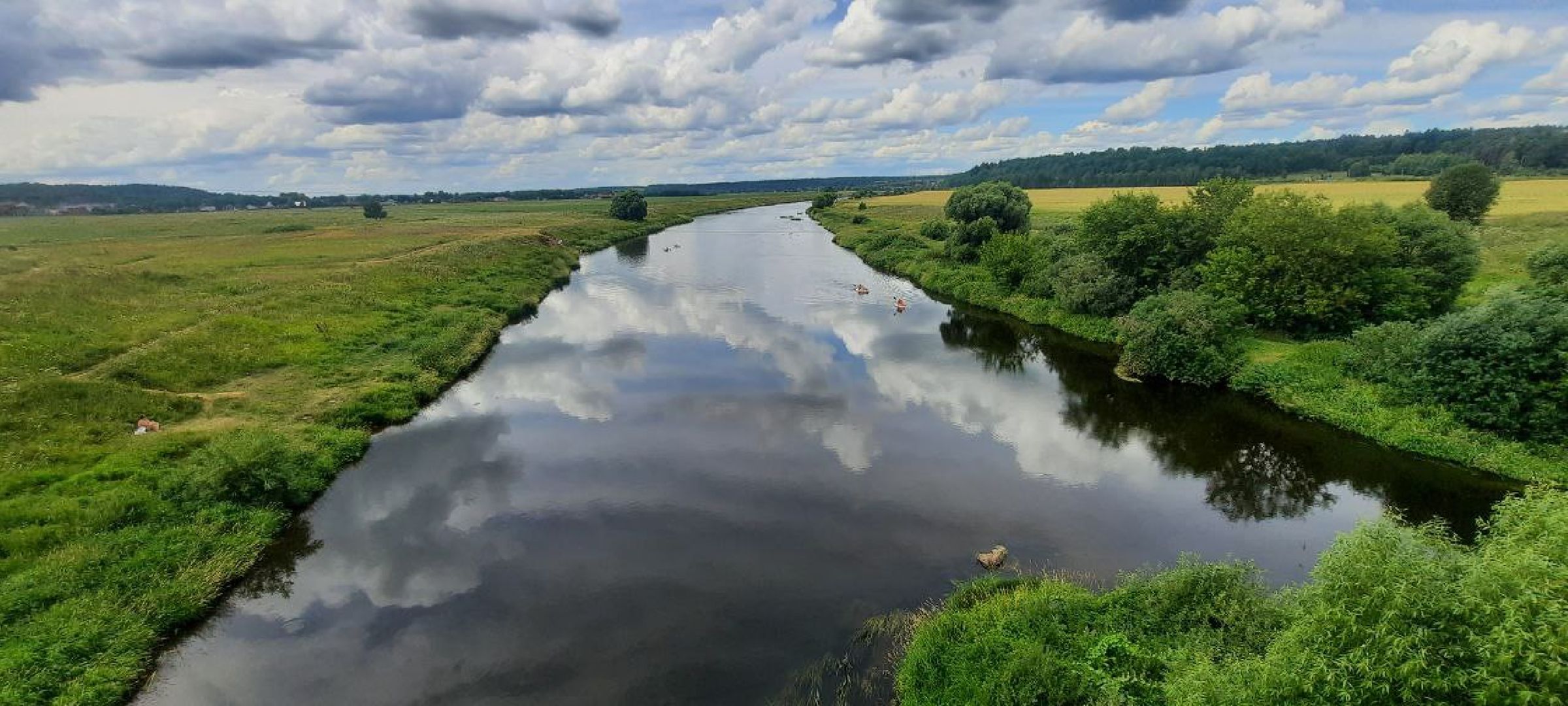 Одинцово, Гребной спорт, Фестиваль Плыви Россия, Звенигород,