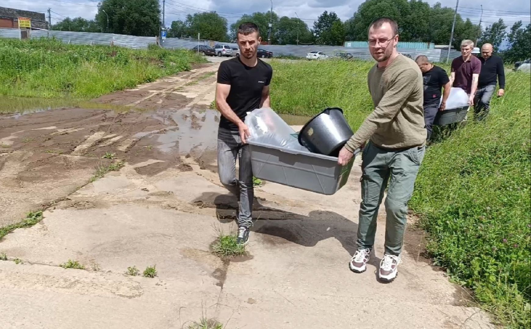 Бронницы, Зарыбление озера, Озеро Бельское, Рыбу запустили в озеро, Очищение озера,