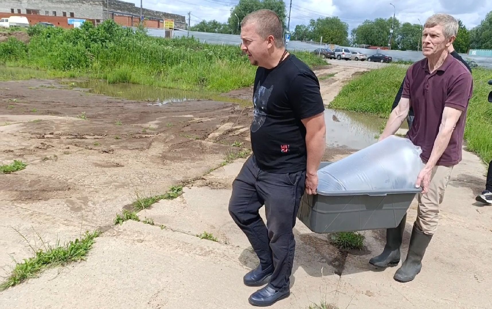 Бронницы, Зарыбление озера, Озеро Бельское, Рыбу запустили в озеро, Очищение озера,