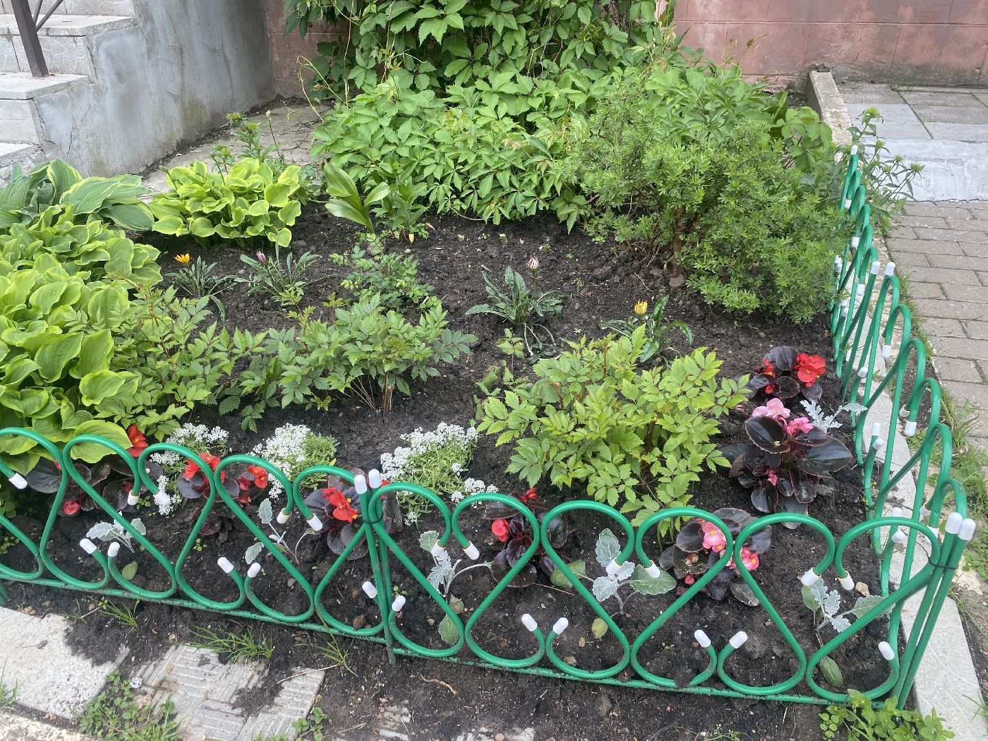 Власиха Школьный, Власиха Тополек, обход территории Власиха, контроль уборки, содержание территории,