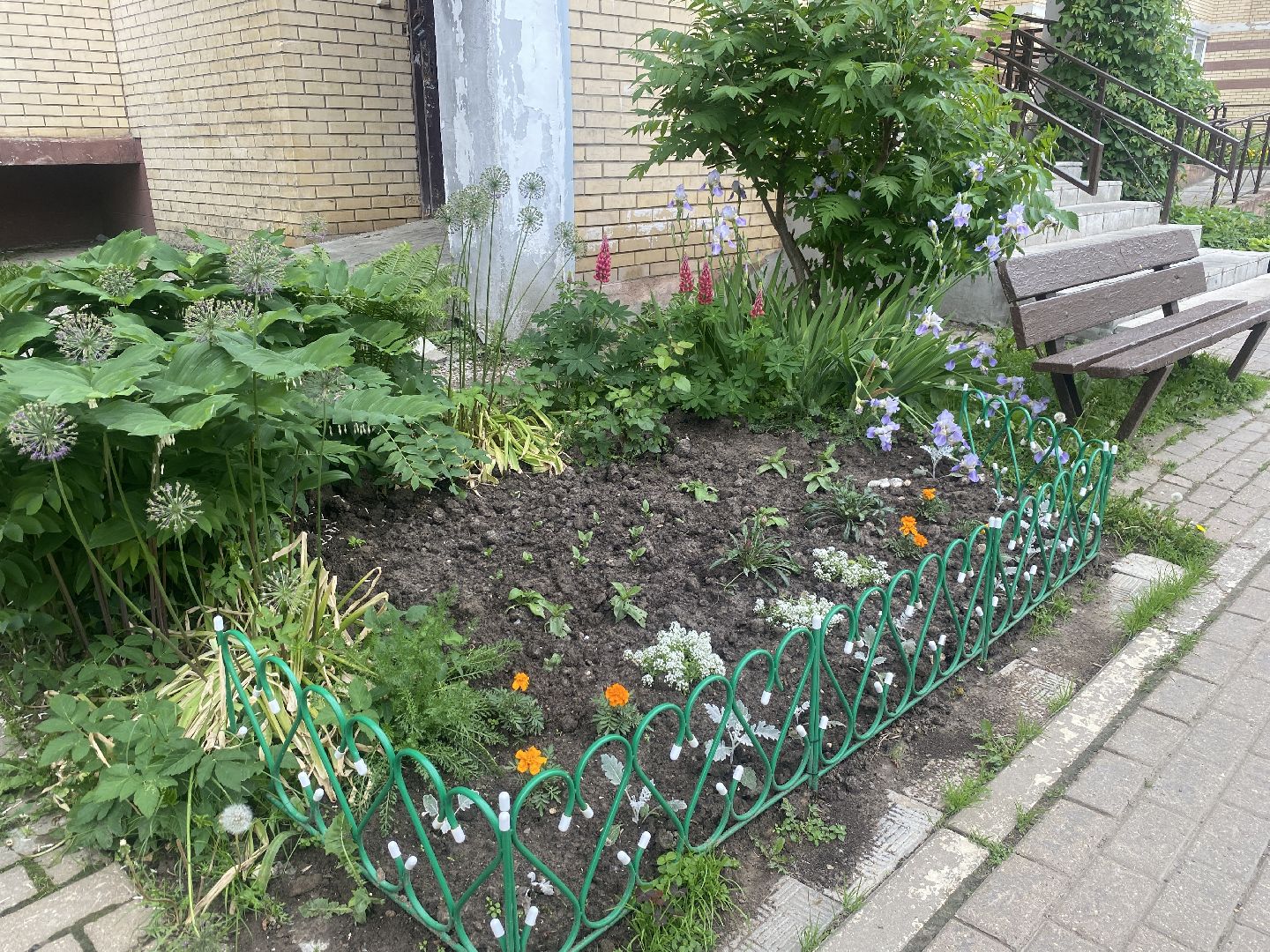 Власиха Школьный, Власиха Тополек, обход территории Власиха, контроль уборки, содержание территории,