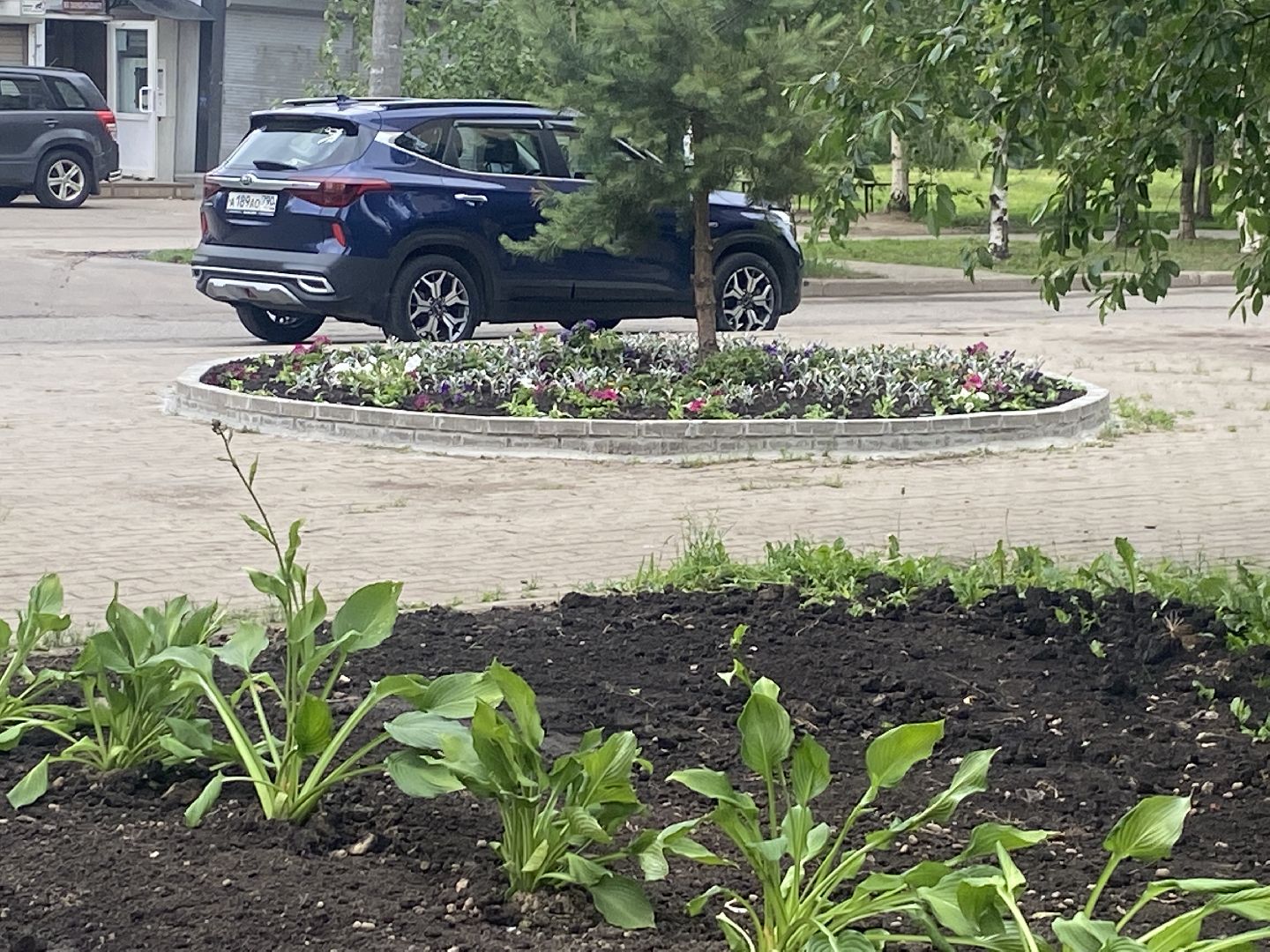 Власиха Школьный, Власиха Тополек, обход территории Власиха, контроль уборки, содержание территории,