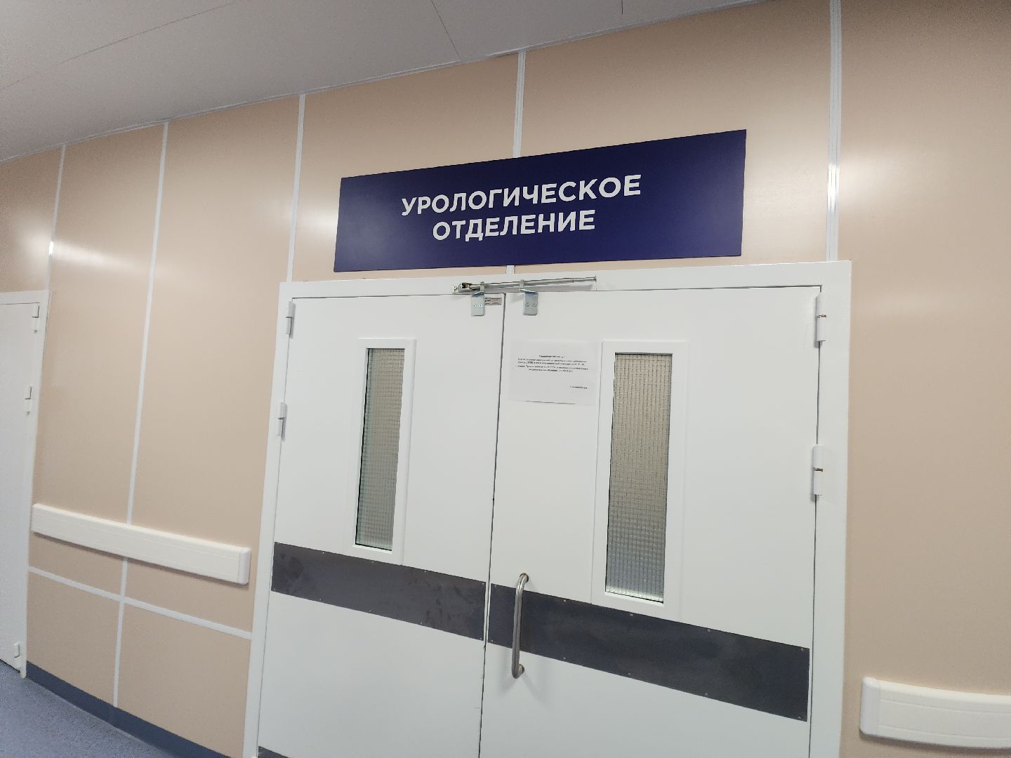 день медицинского работника, медсестра,