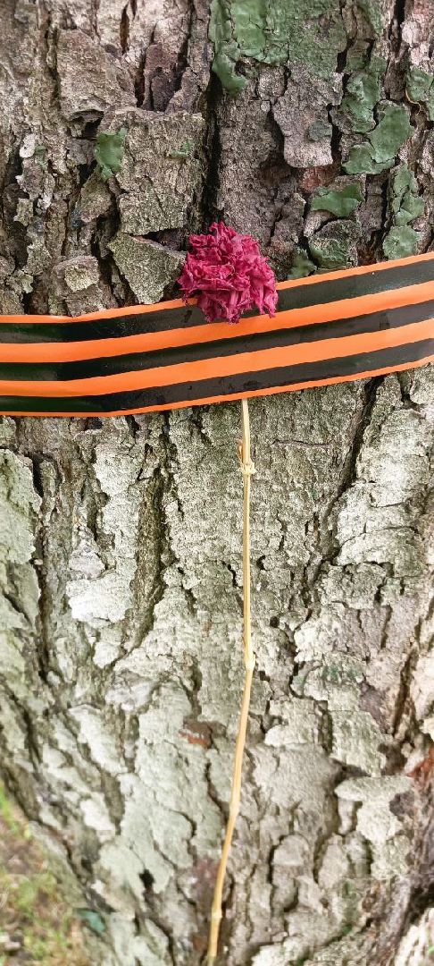 Дмитров, Минблаго,