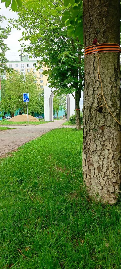 Дмитров, Минблаго,