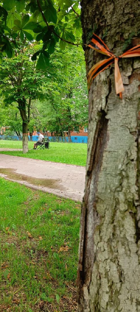 Дмитров, Минблаго,