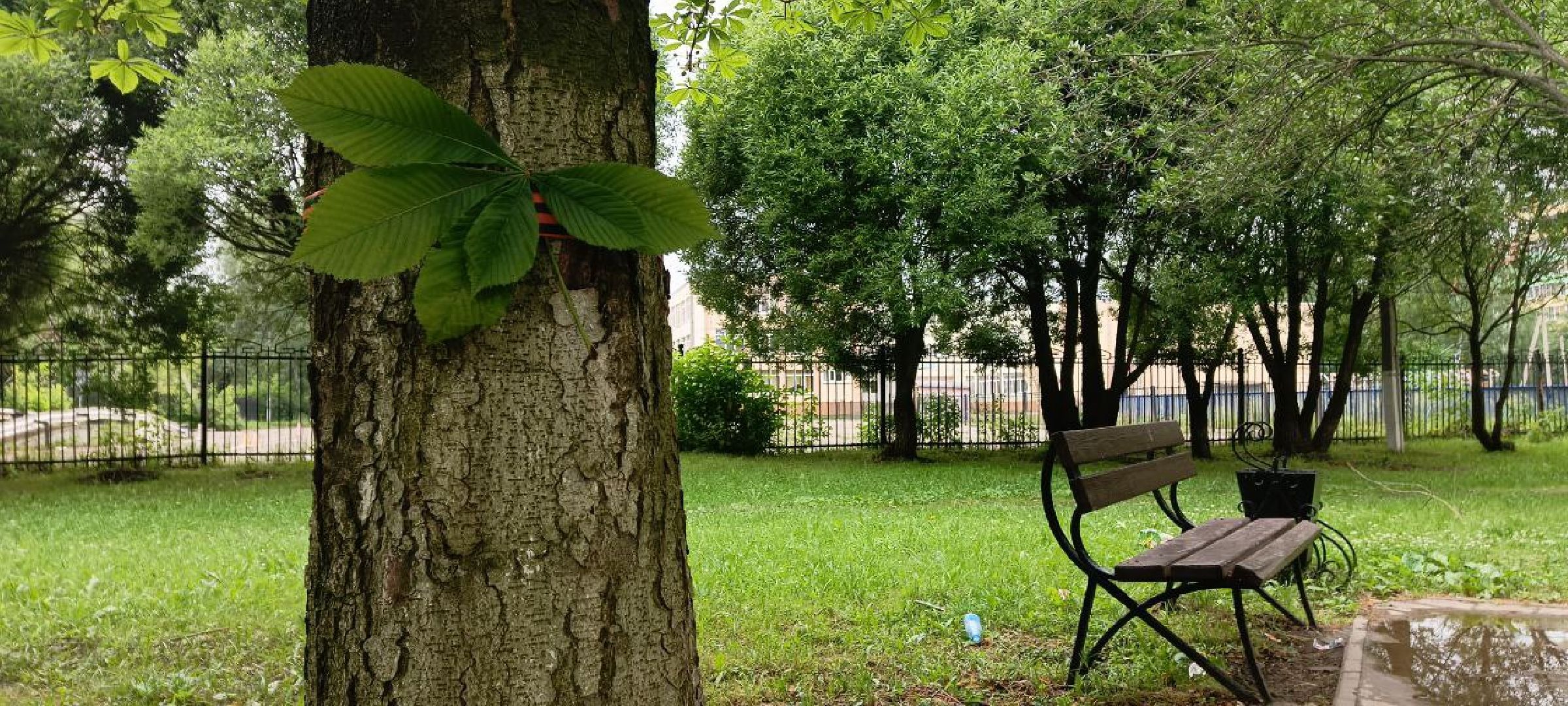 Дмитров, Минблаго,