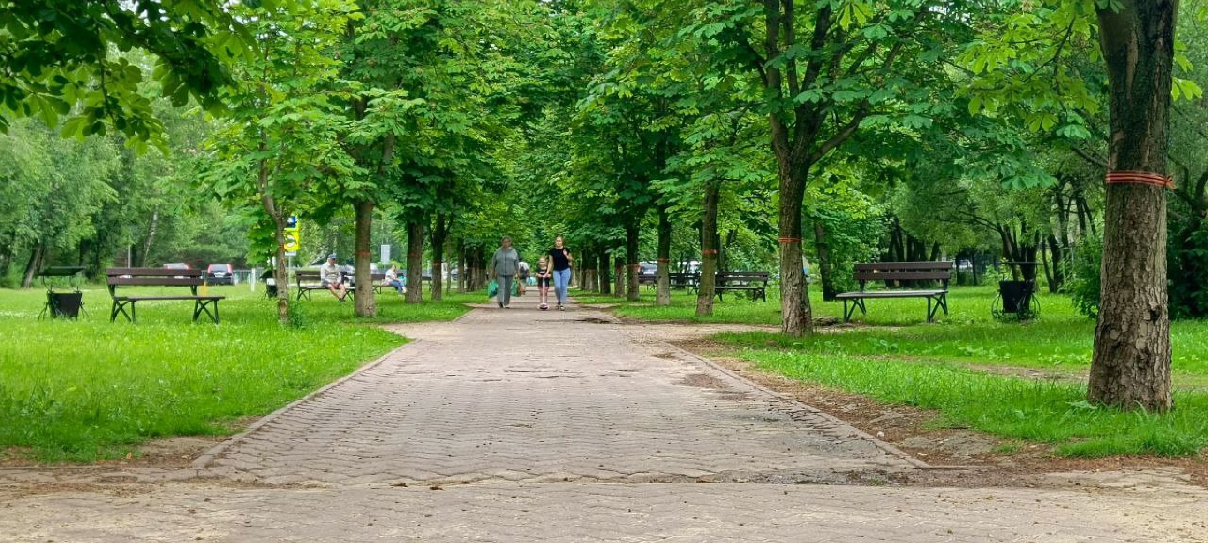 Дмитров, Минблаго,