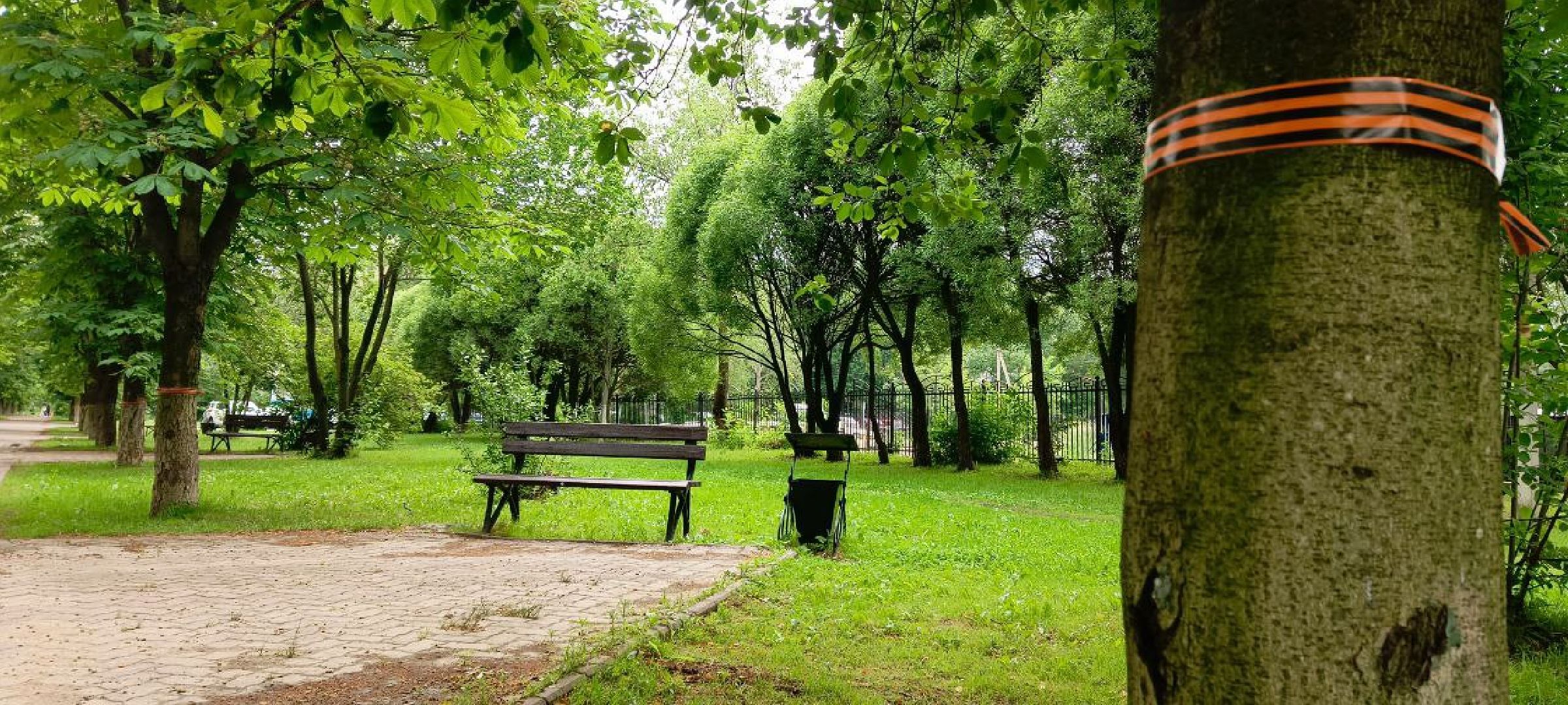 Дмитров, Минблаго,