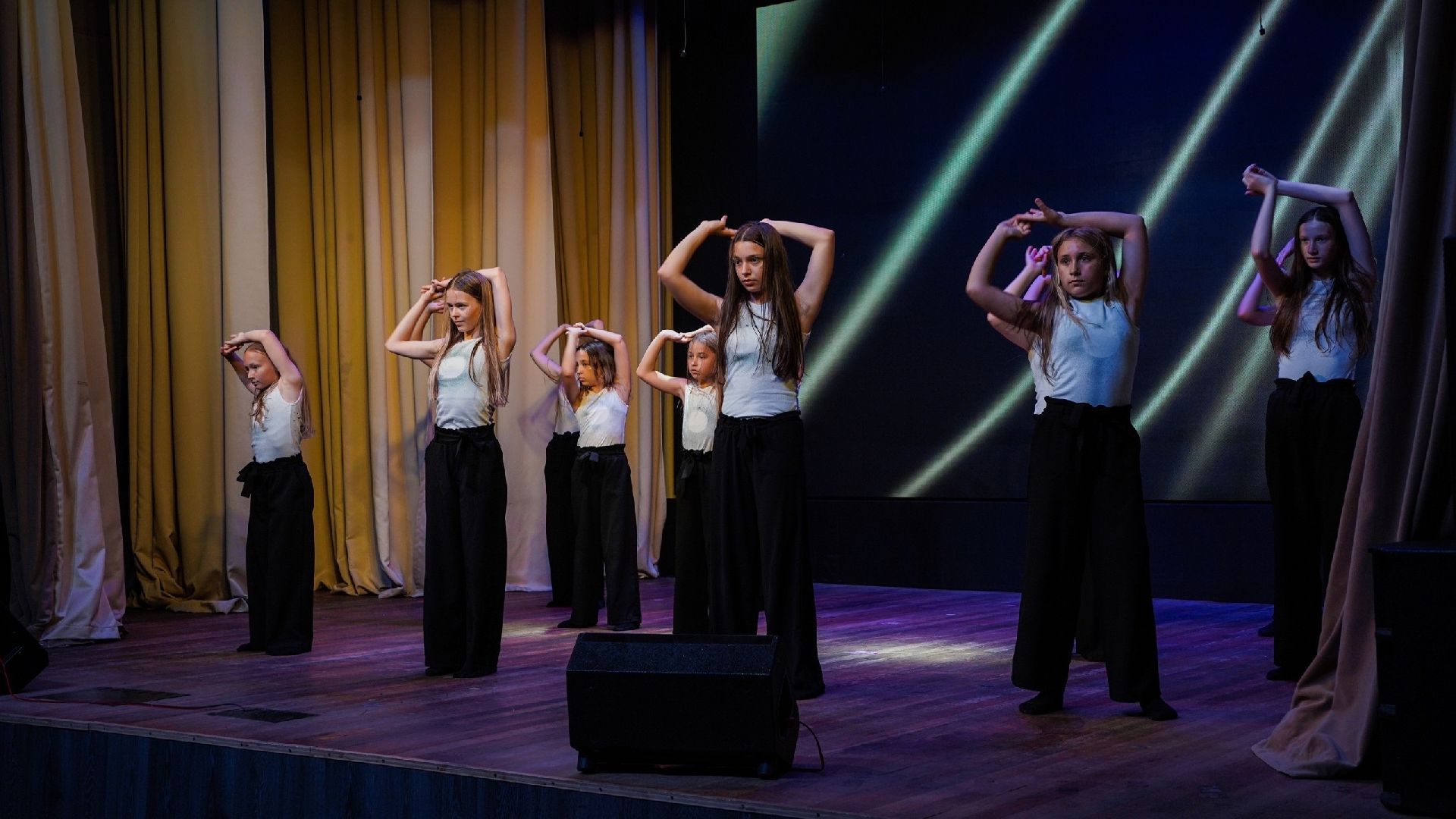 день медика, шатурская больница, ДК Косякова, Большая Шатура, праздник,