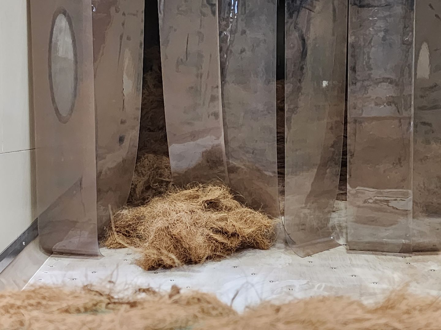 Подольск, Экономика, Импортозамещение, Производство,