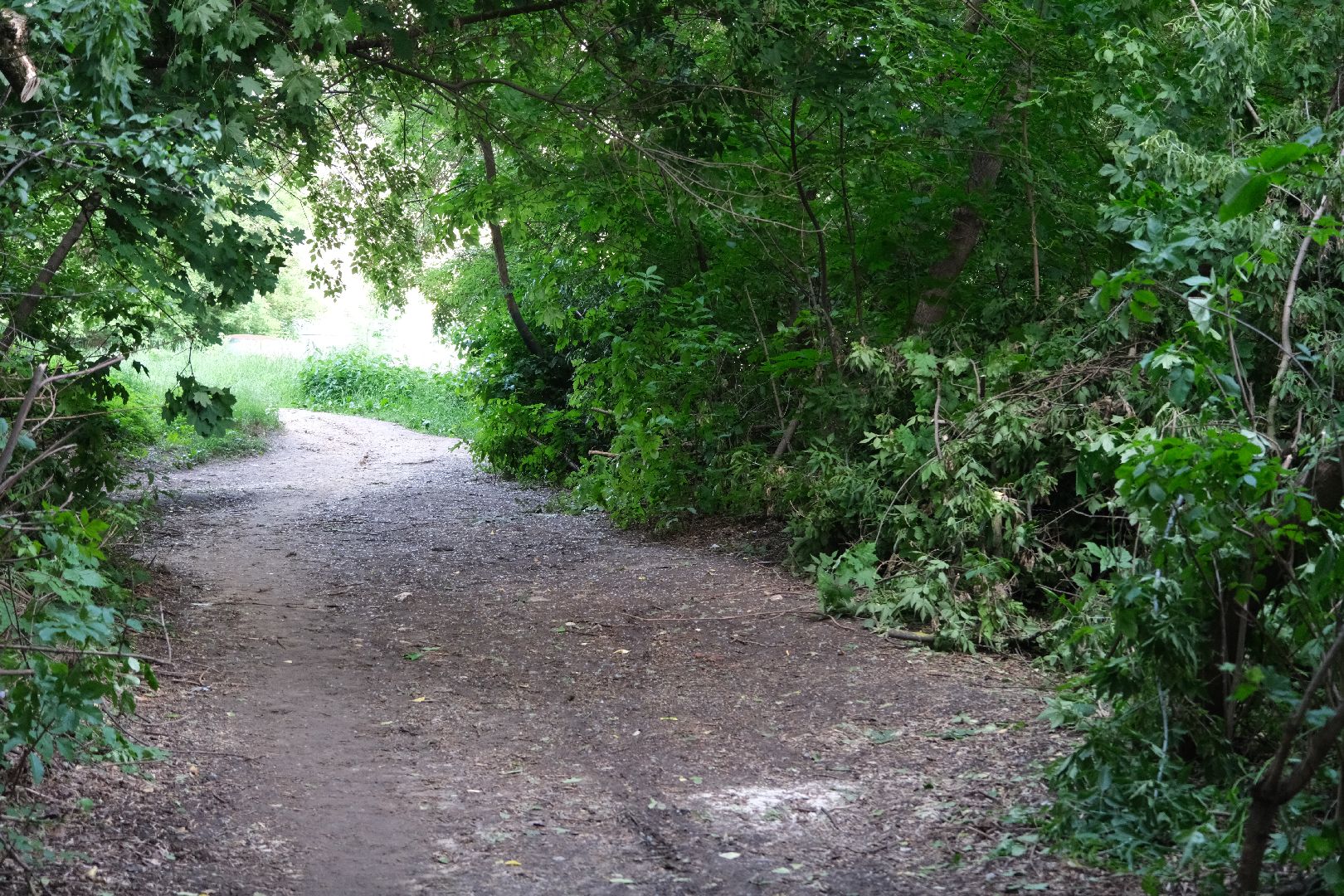 лыткарино, выездная администрация, общество,