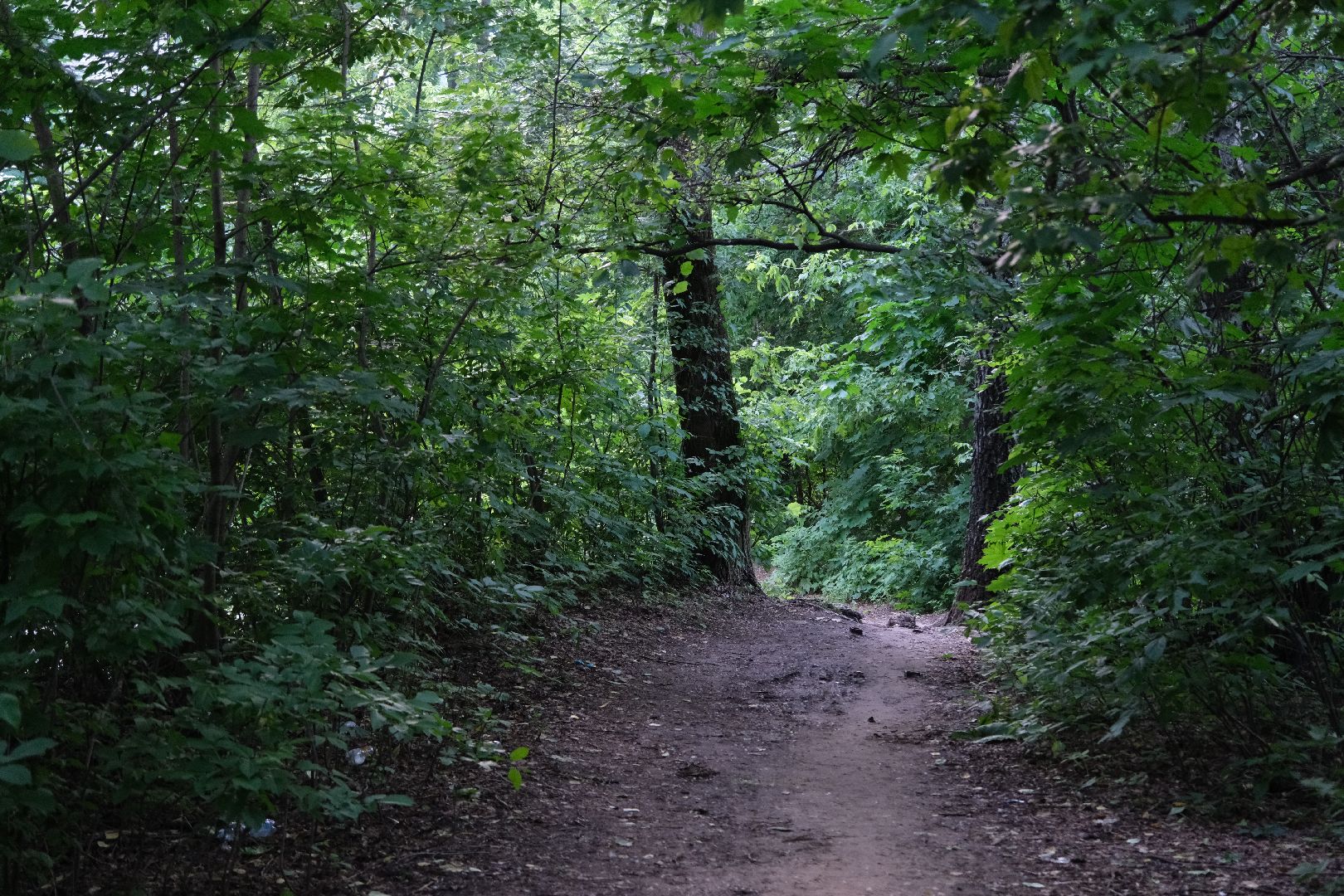 лыткарино, выездная администрация, общество,
