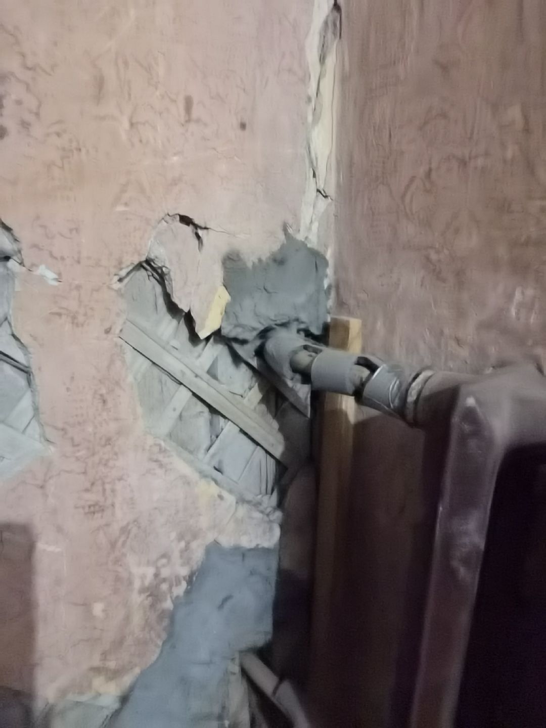 Балашиха, общество