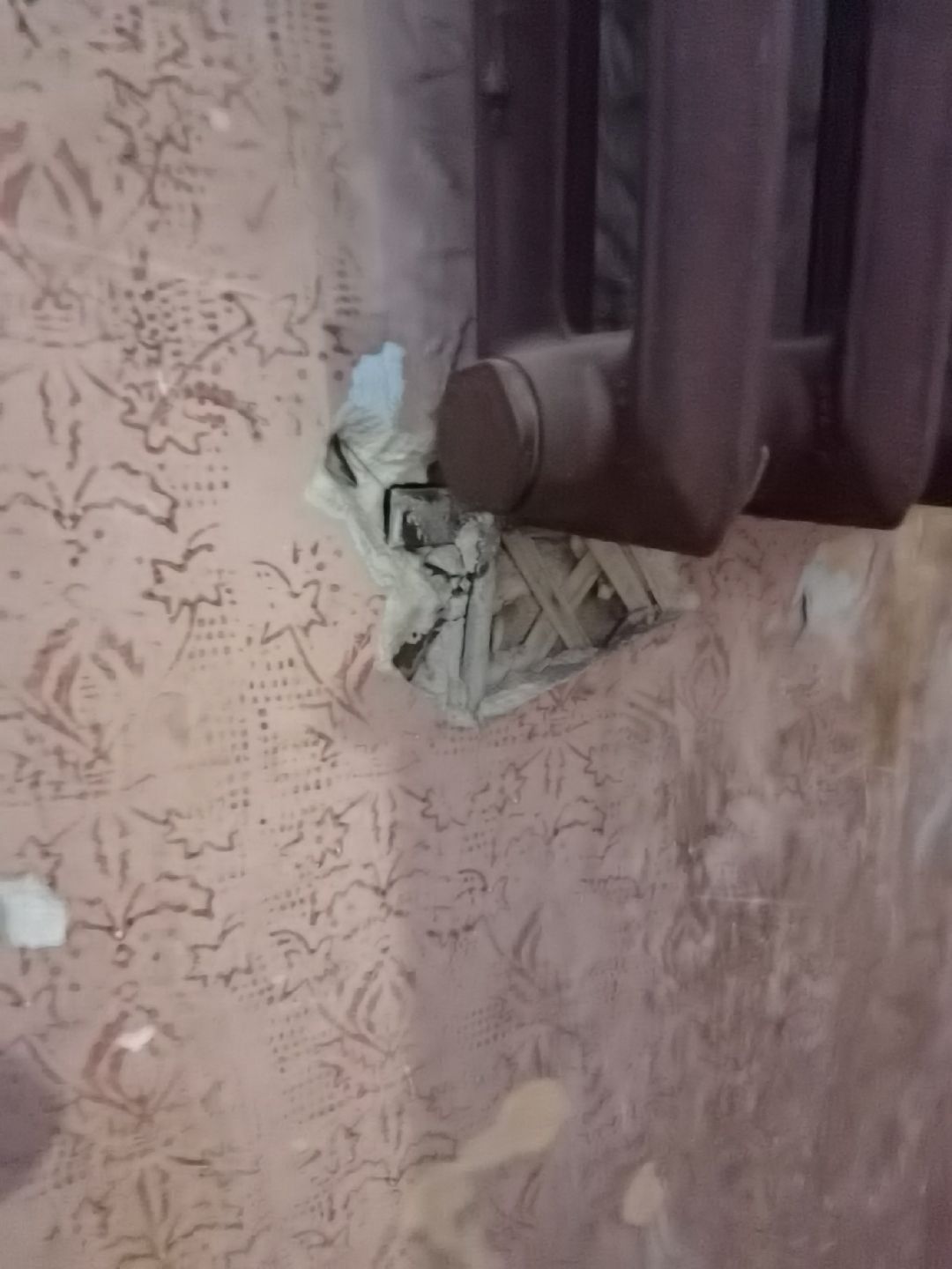 Балашиха, общество