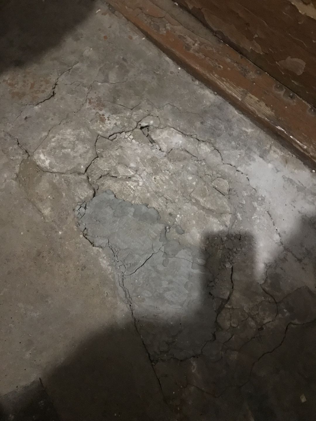 Балашиха, общество