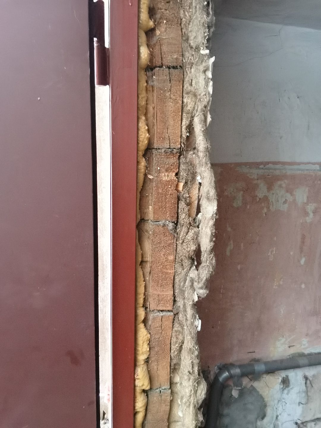 Балашиха, общество