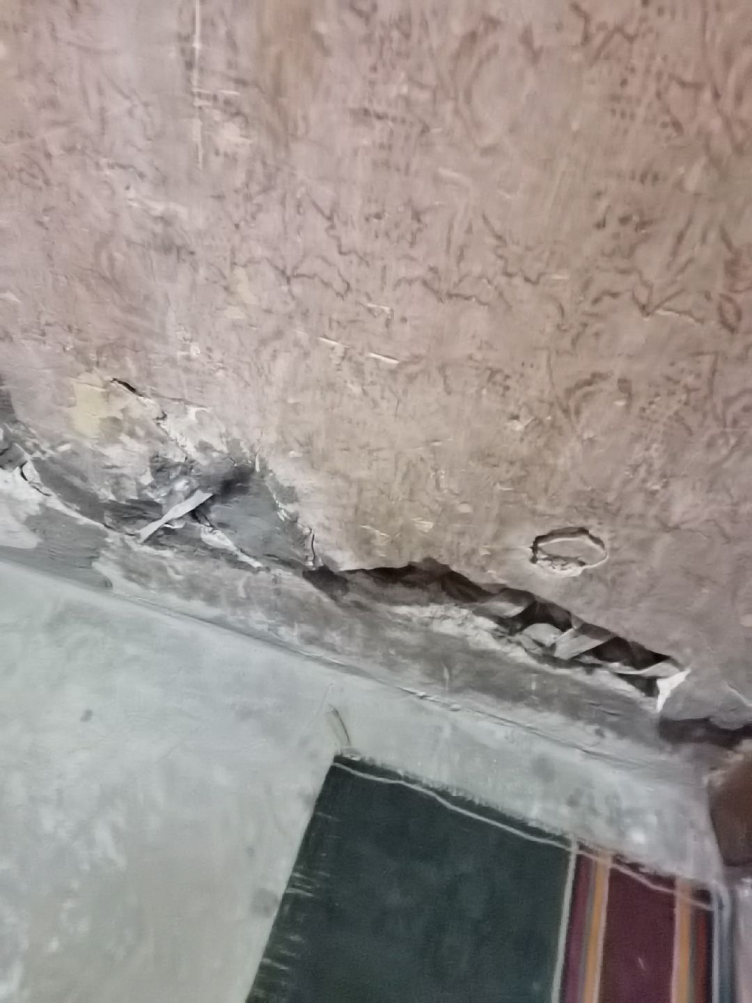 Балашиха, общество