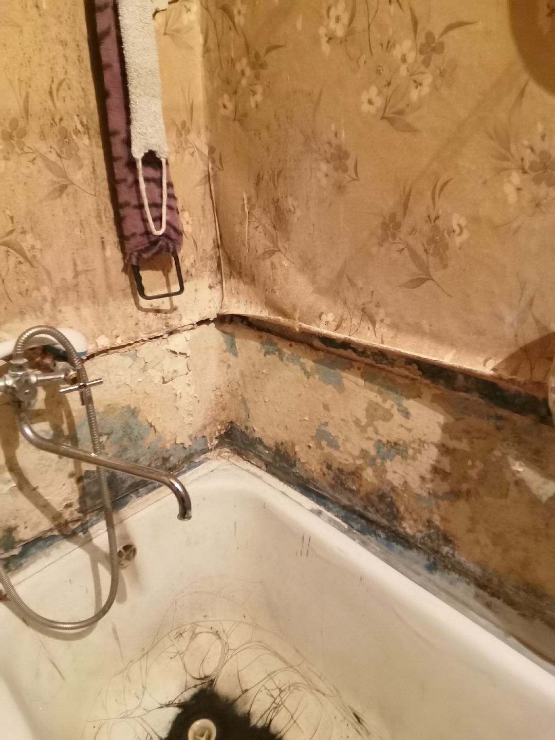 Балашиха, общество