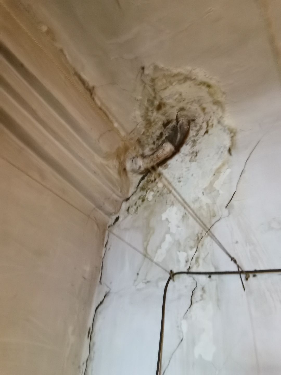 Балашиха, общество