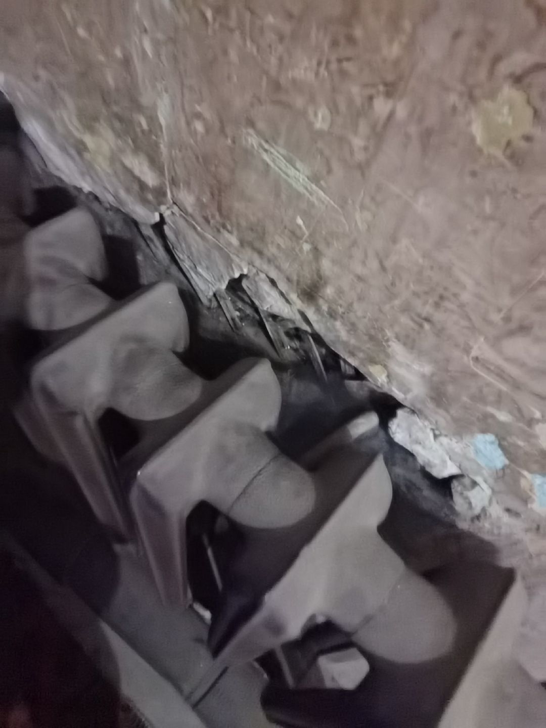 Балашиха, общество