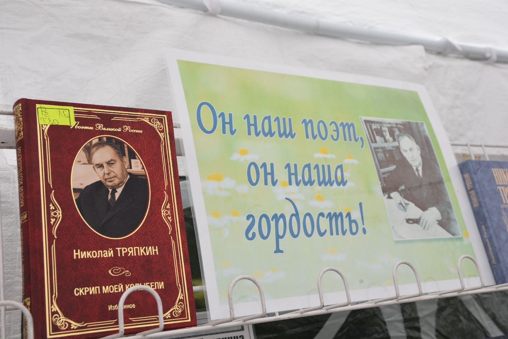 лотошино, лотошинская библиотека, лотошинский парк, тряпкин, день округа,