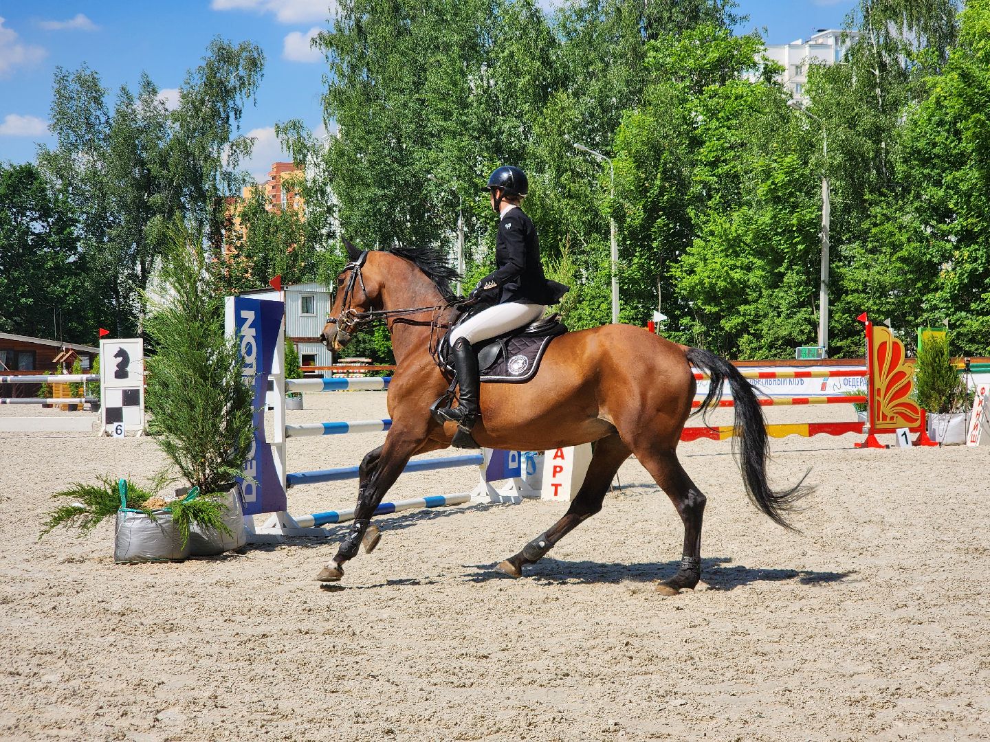 Подольск, Конкур, Кубок памяти Никулина, Конный спорт,