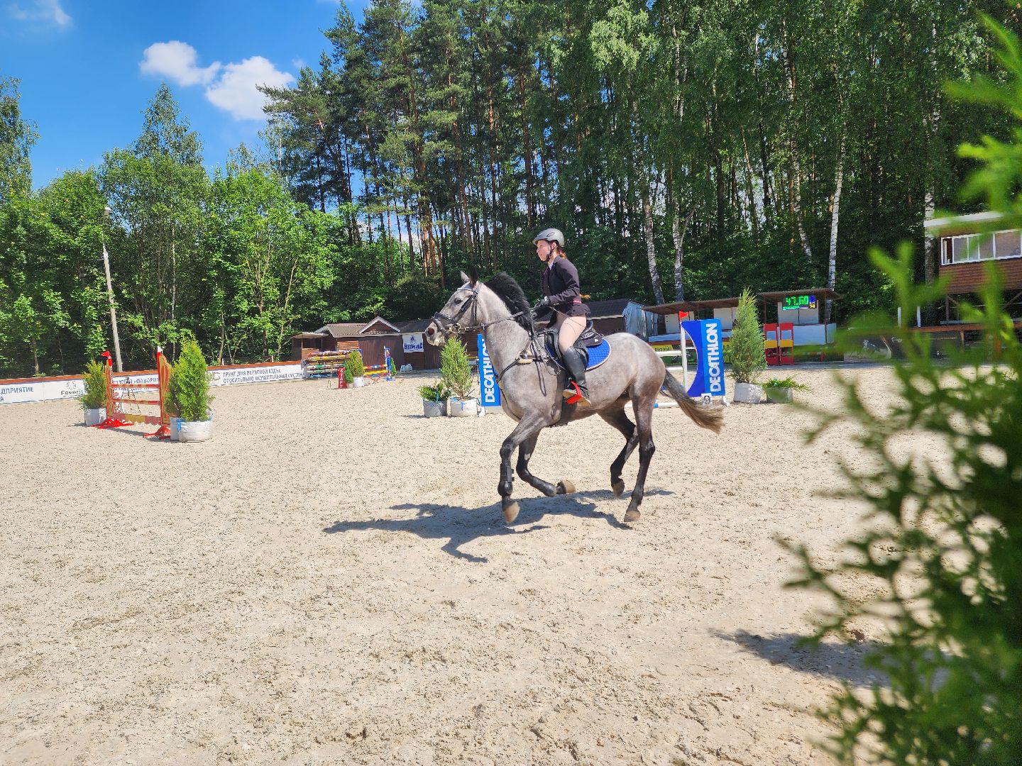 Подольск, Конкур, Кубок памяти Никулина, Конный спорт,
