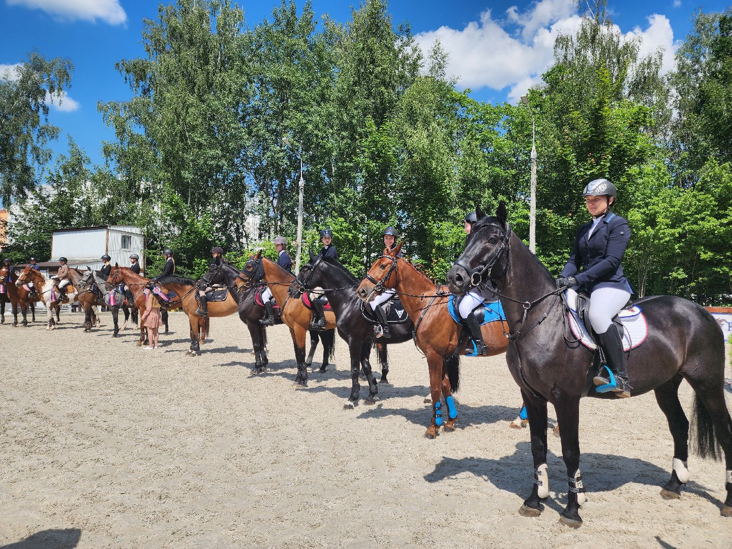 Подольск, Конкур, Кубок памяти Никулина, Конный спорт,