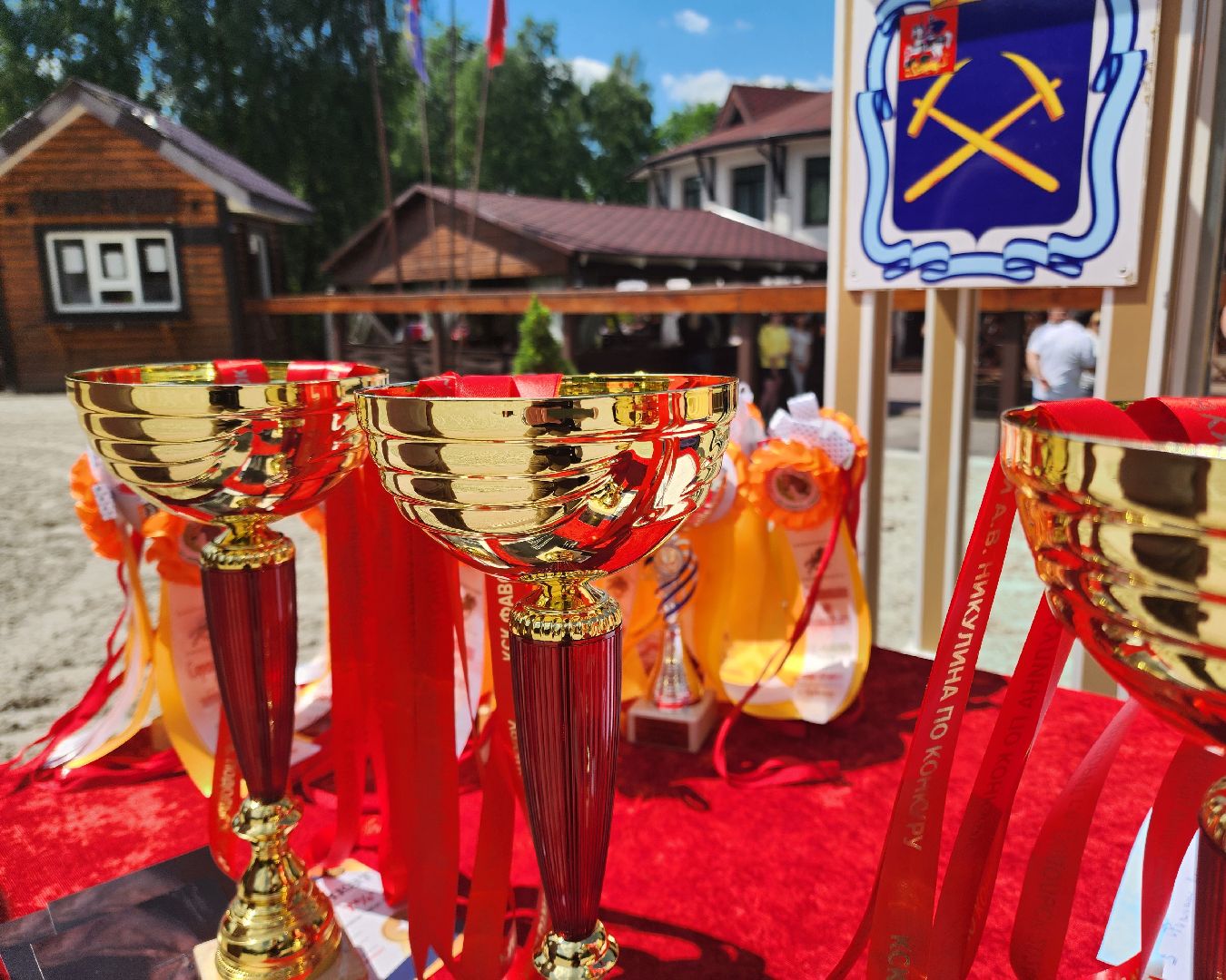 Подольск, Конкур, Кубок памяти Никулина, Конный спорт,
