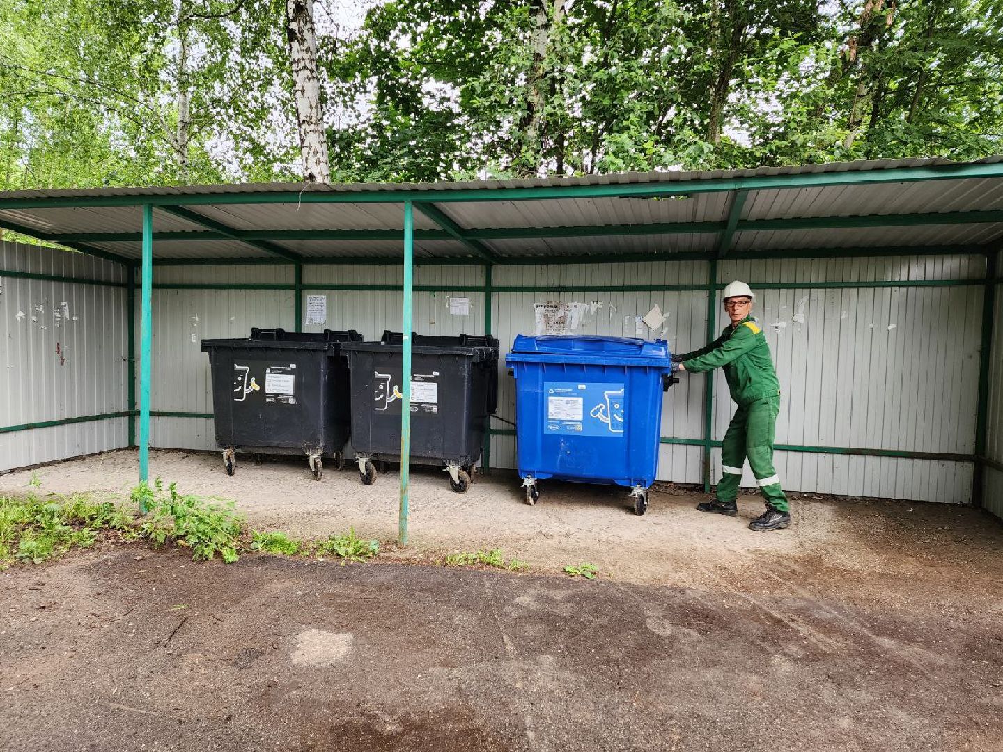 чехов, экология, контейнерная площадка, баки, мусорные контейнеры,