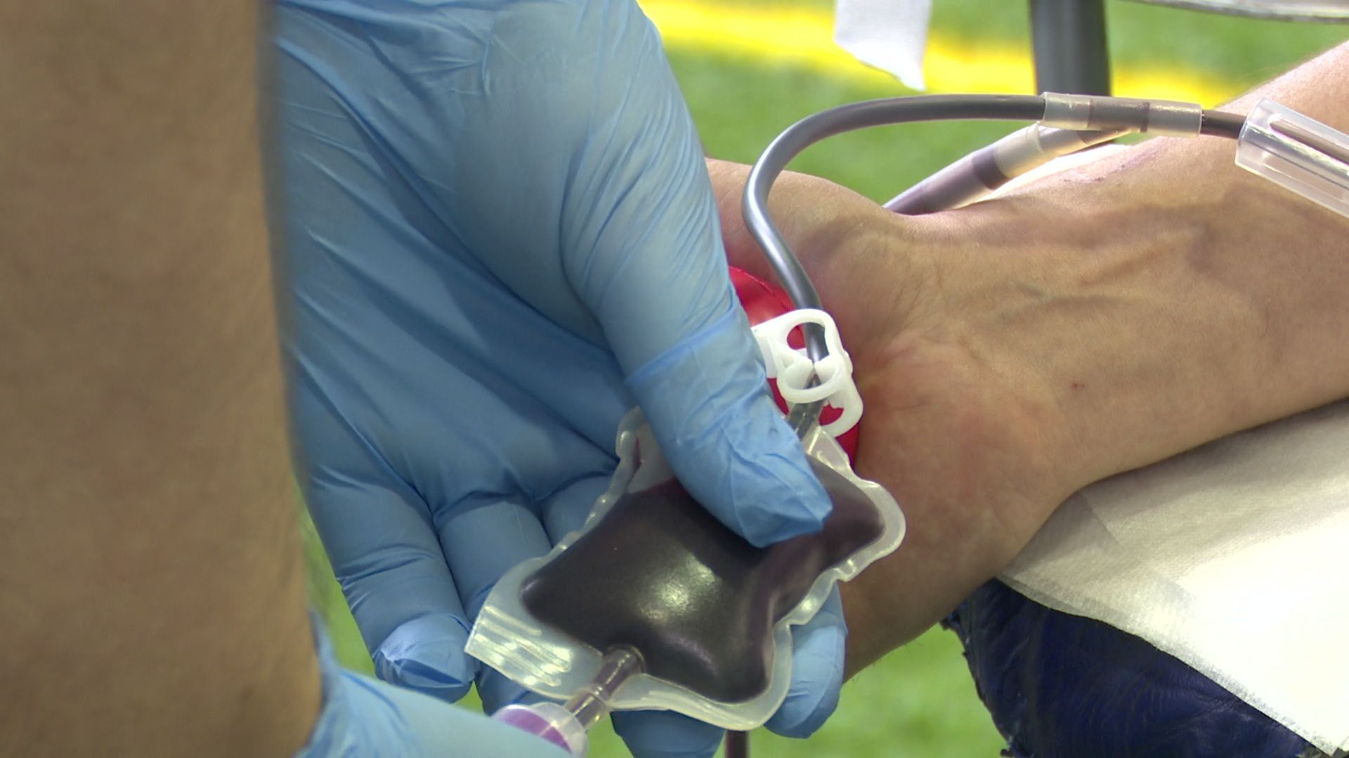 Реутов, Росгвардия, доноры, кровь, день донора, сдаем кровь,