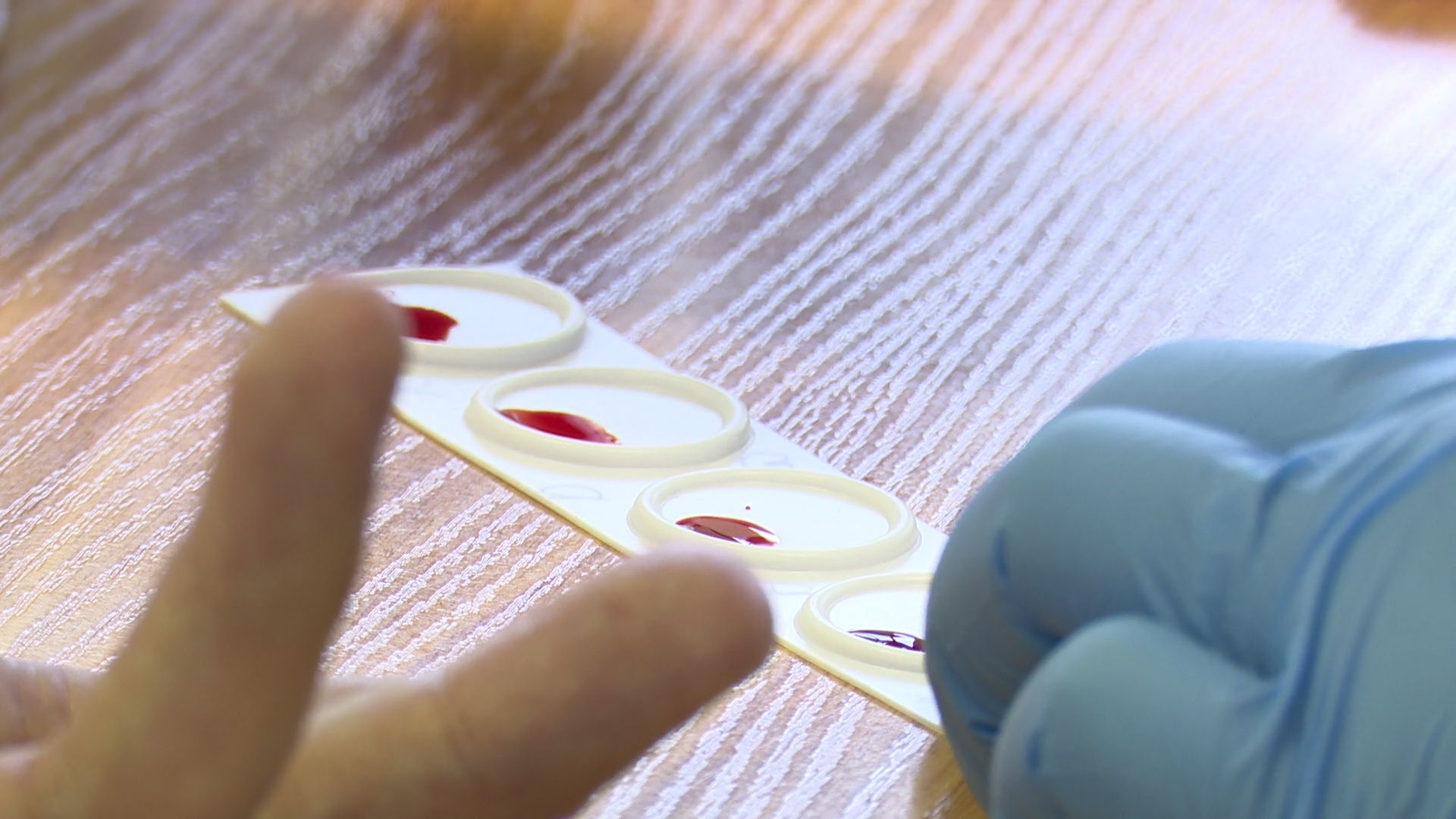 Реутов, Росгвардия, доноры, кровь, день донора, сдаем кровь,