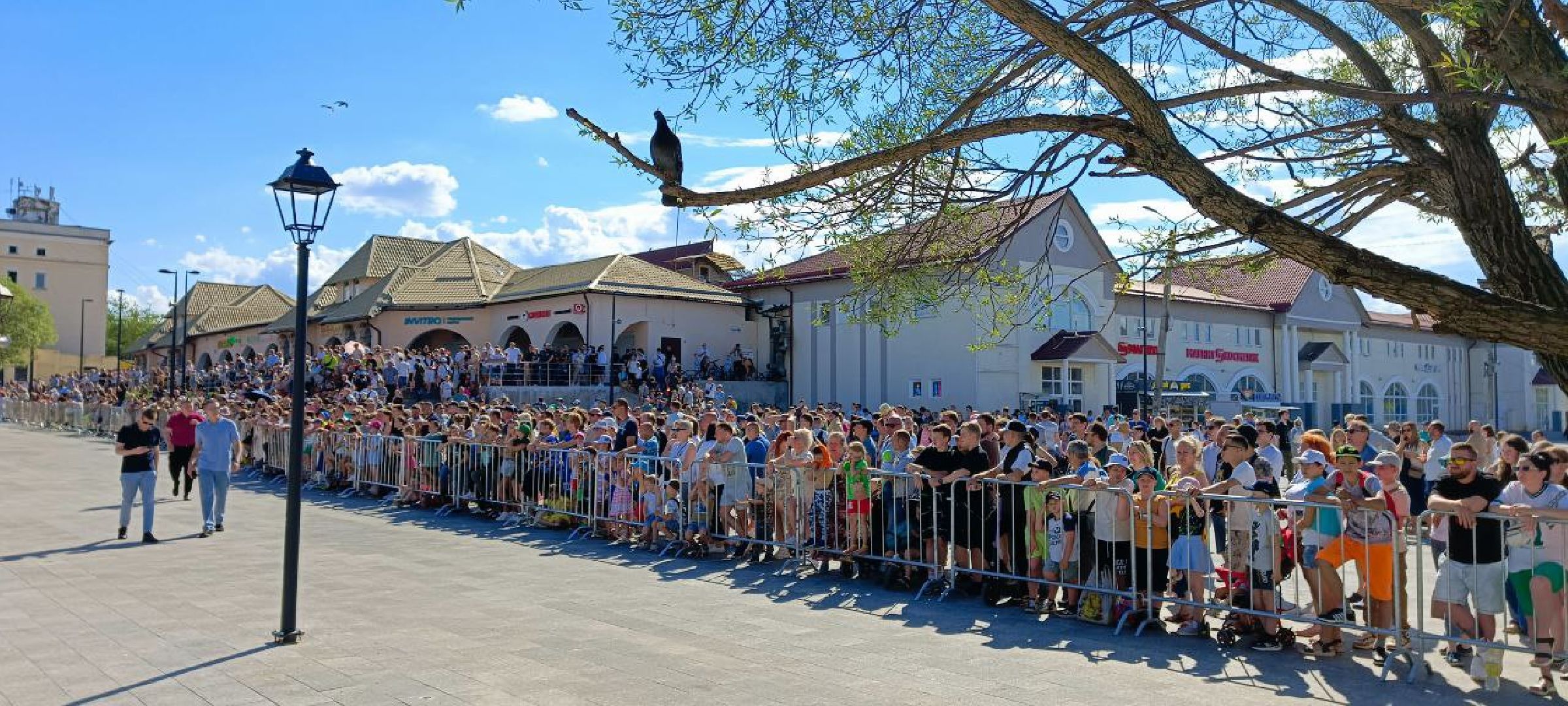 Дмитров, Фестиваль мотофристайла, Алексей Колесников,