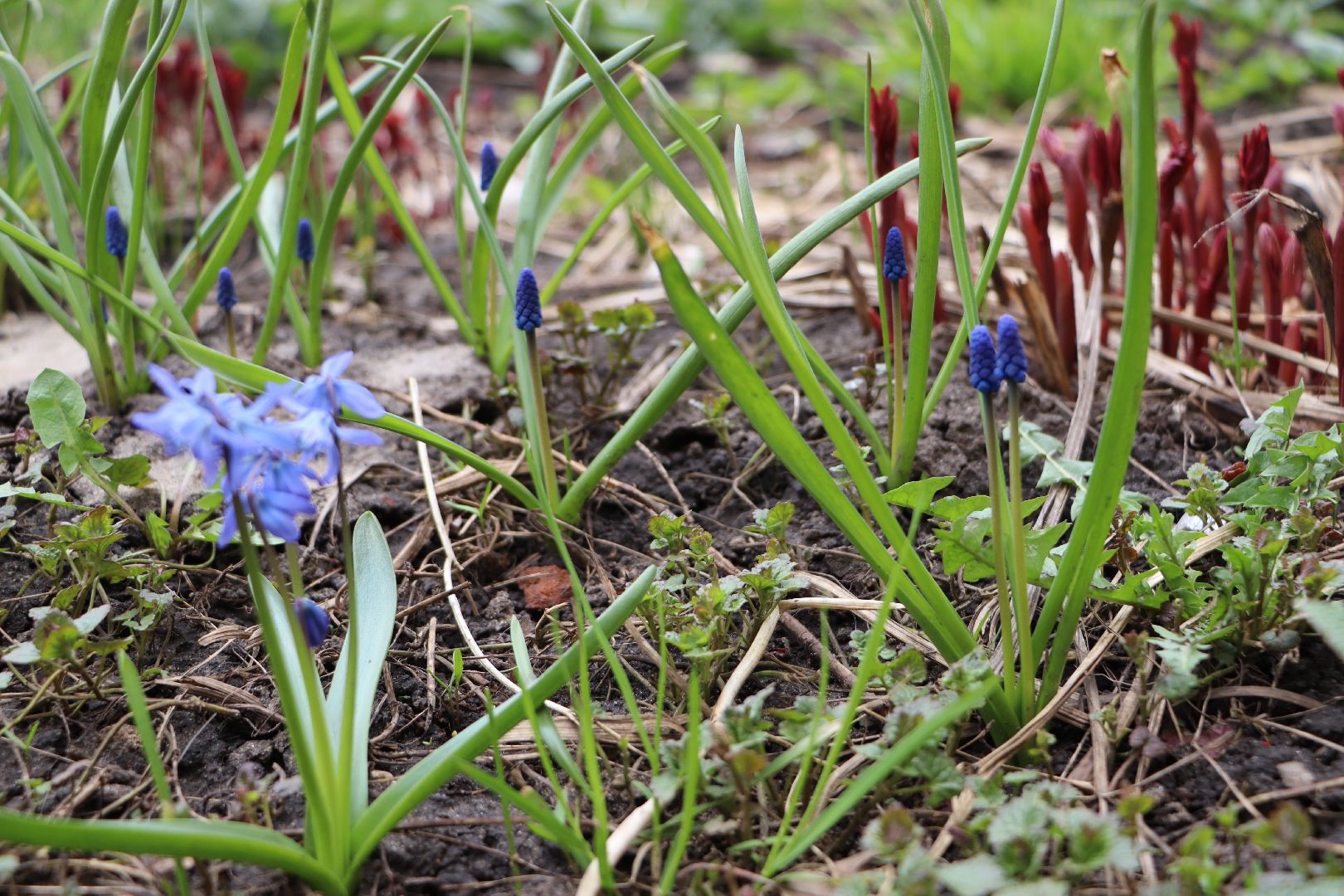 перемены, Серебряные Пруды, весна