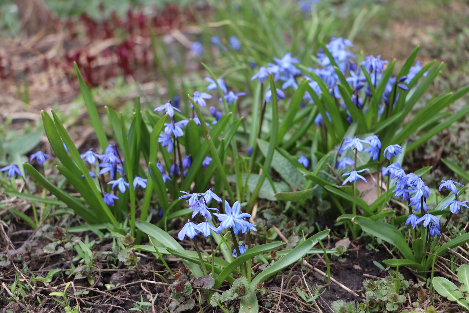 перемены, Серебряные Пруды, весна