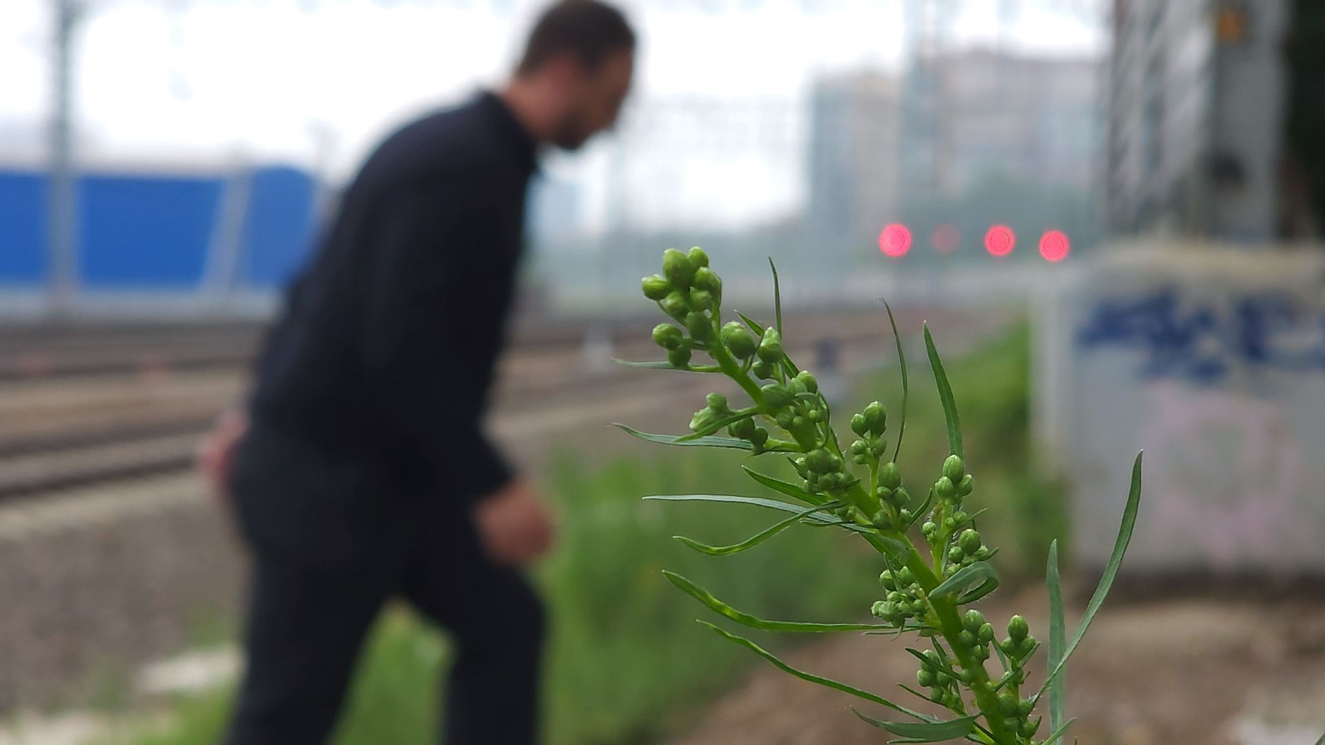 Одинцово, строительство, пешеходный переход,