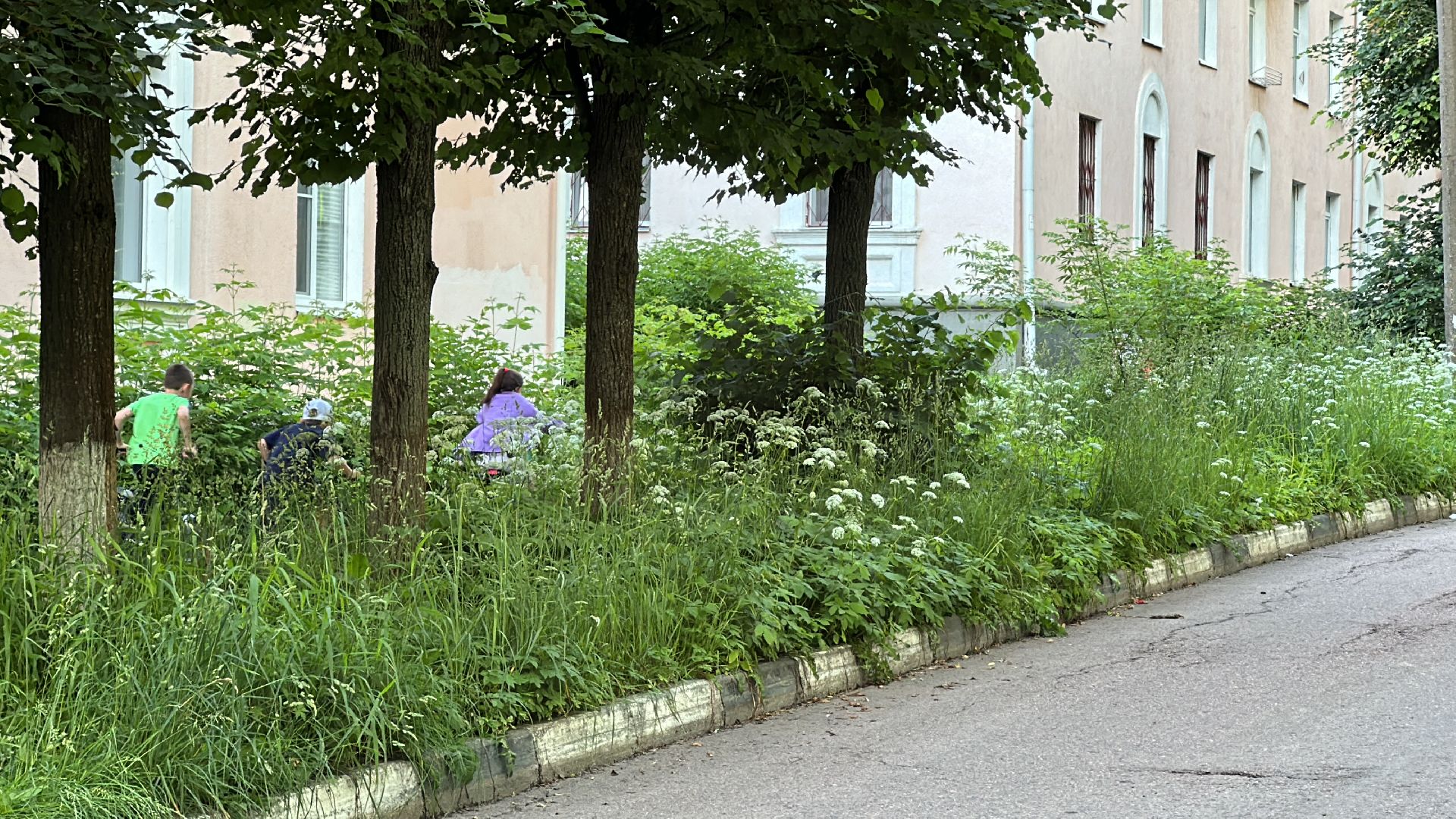 Клин, общество, ЖКХ, благоустройство, выездная администрация,