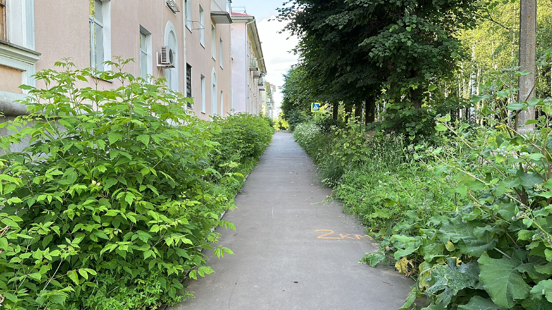 Клин, общество, ЖКХ, благоустройство, выездная администрация,