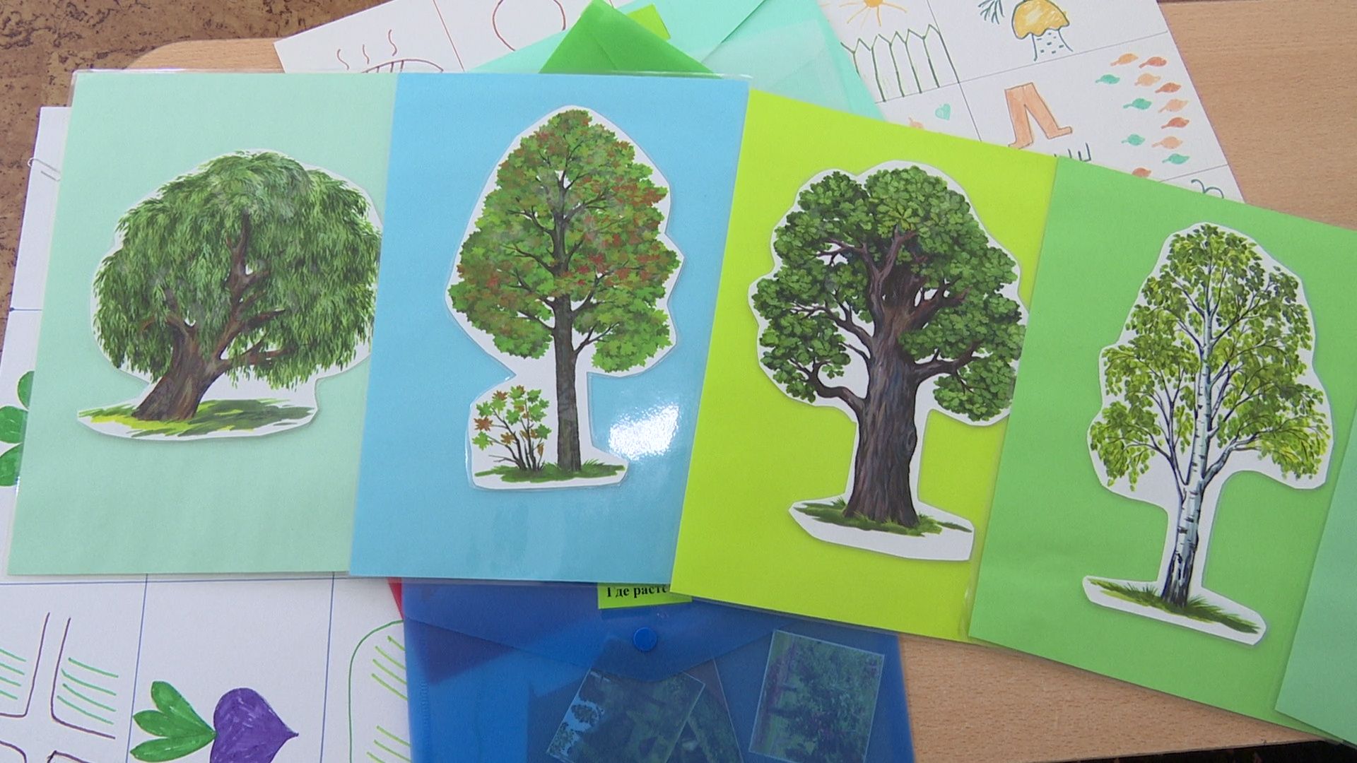 Реутов, образование, люди, конкурс, педагог, воспитатель, сердце отдаю детям,