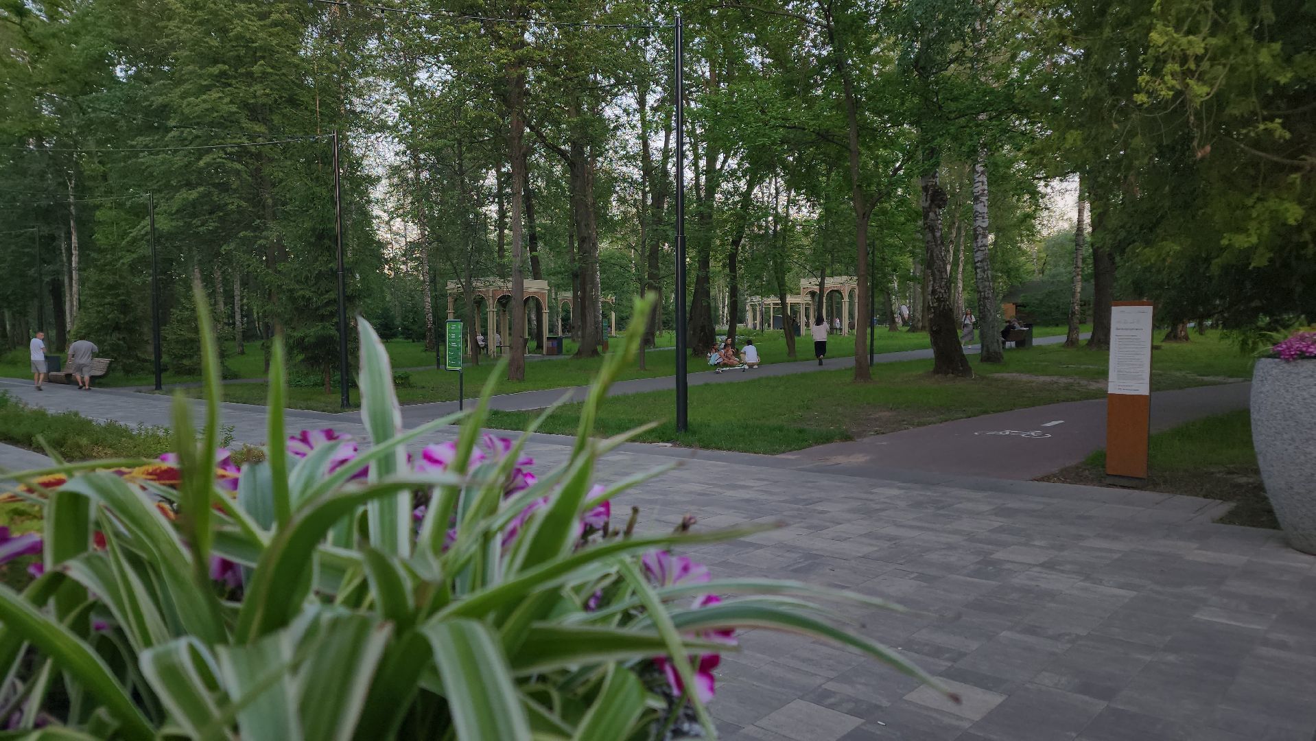 ступино, лето в подмосковье, парки подмосковья, кинопарк,